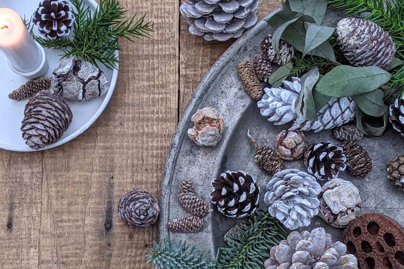 Natural Christmas decorations and assortment of pine cones on a tray