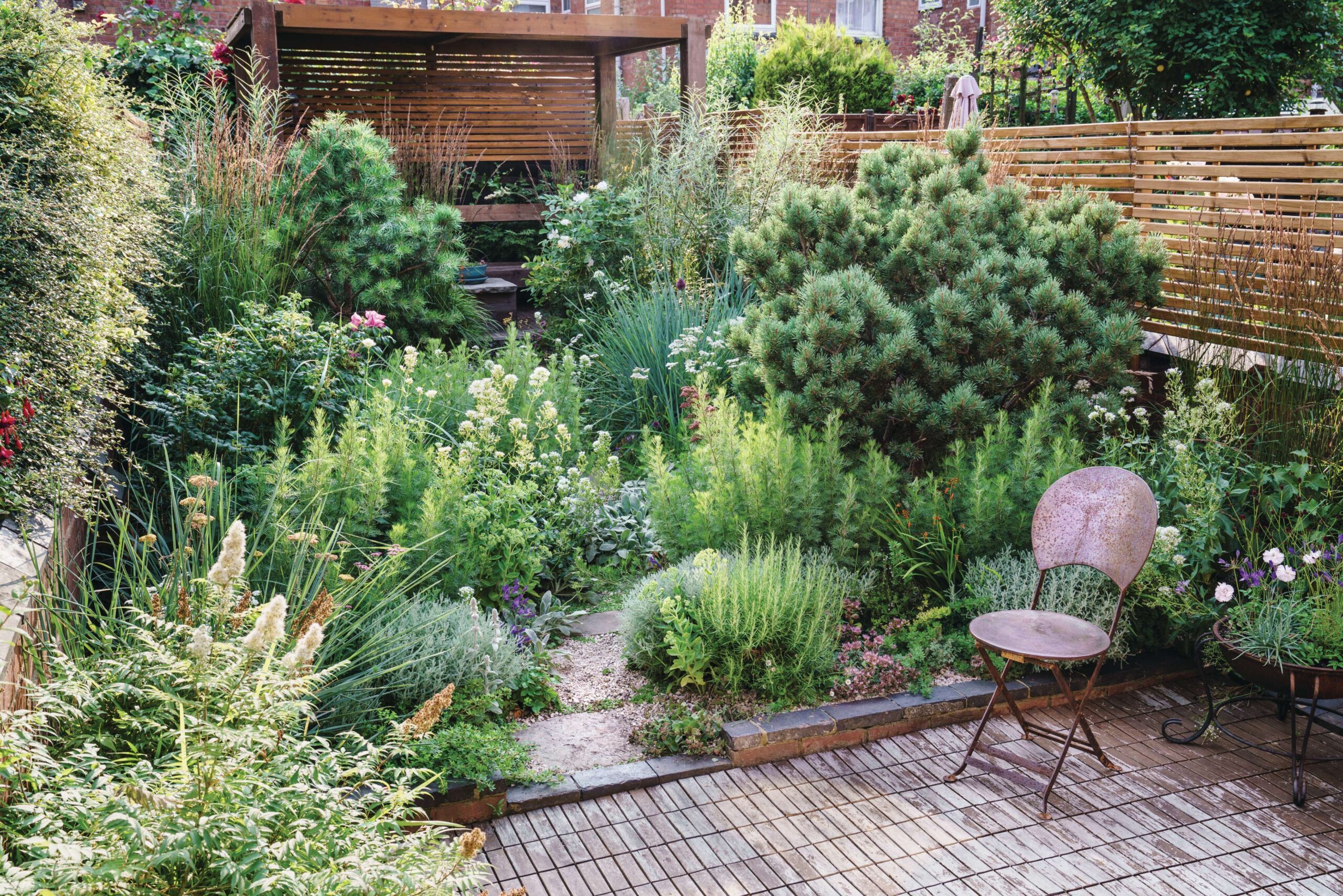 Ula Maria small garden Northampton