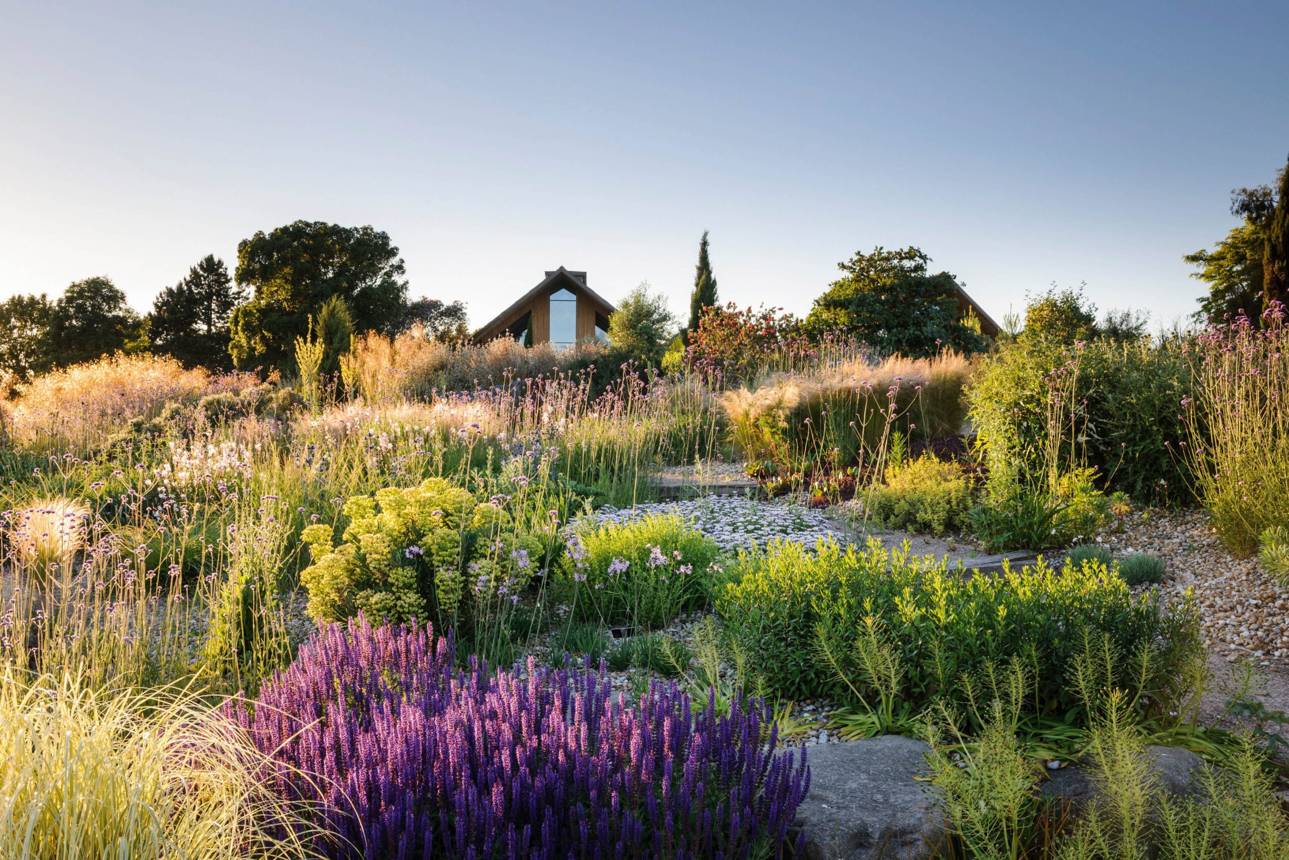 The Dry Garden at Hyde Hall