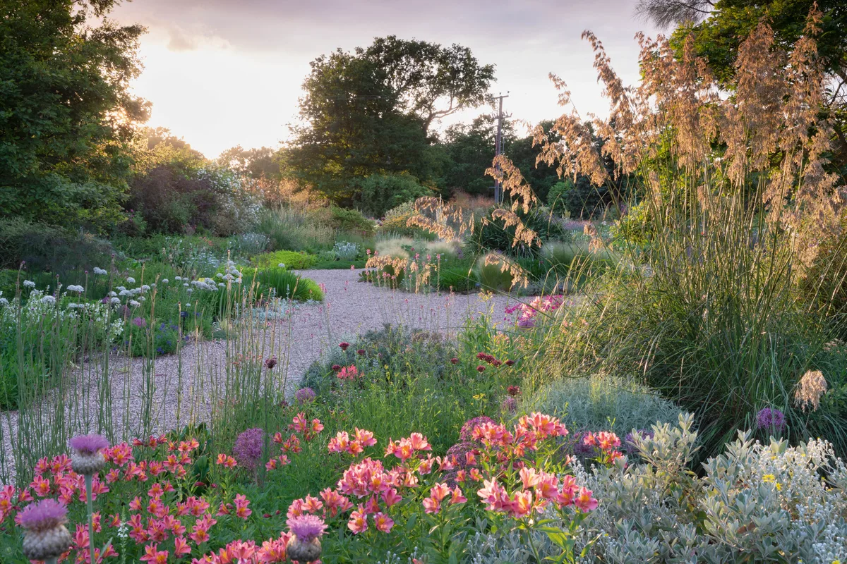 The Gravel Garden at Beth Chatto's garden The Gravel Garden at Beth Chatto's garden