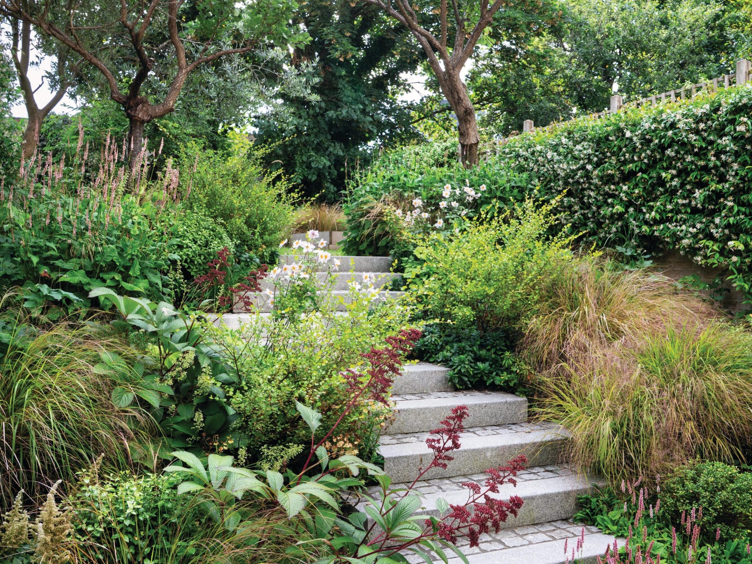 Garden steps and borders