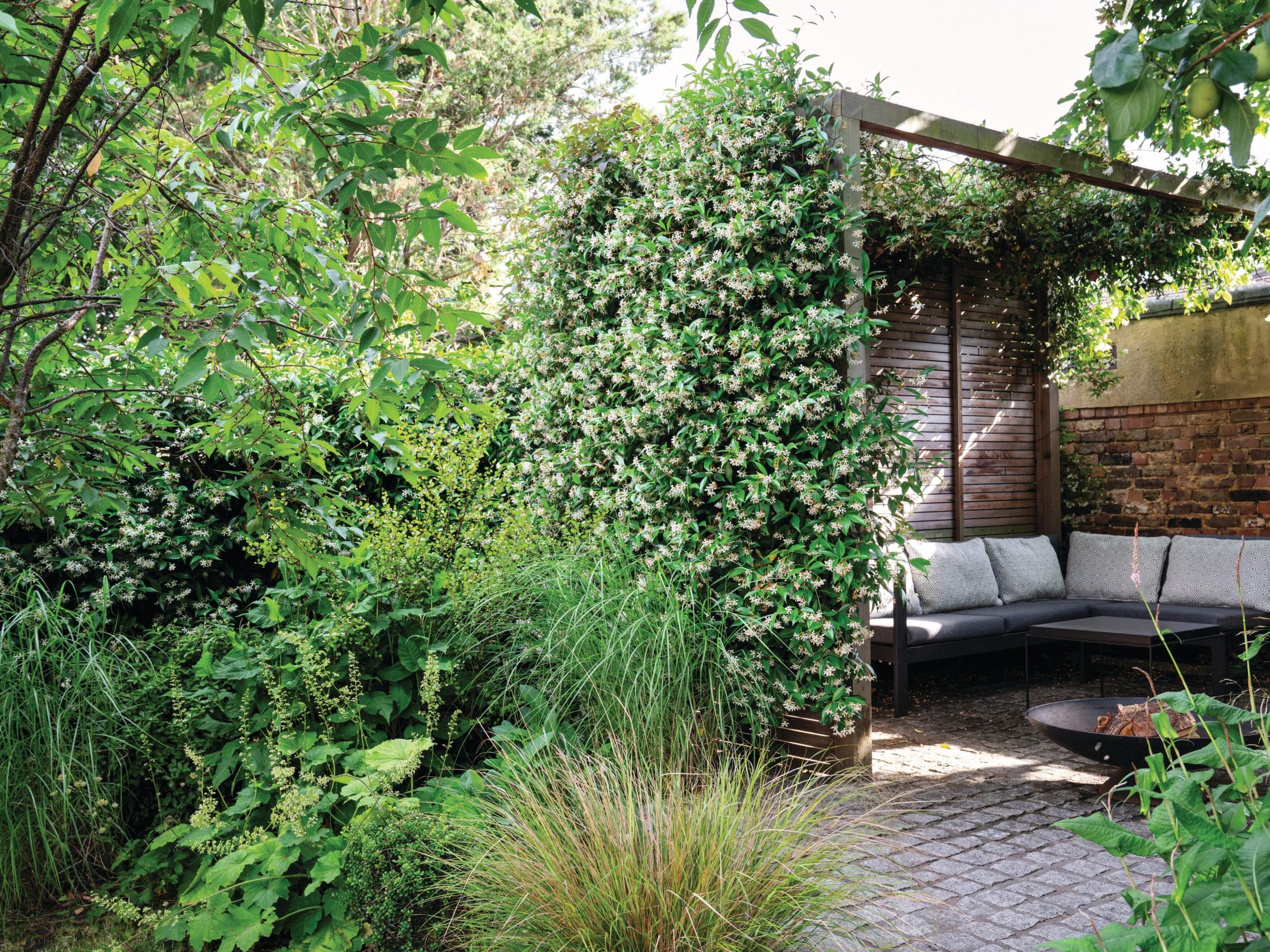 Garden pergola and seating