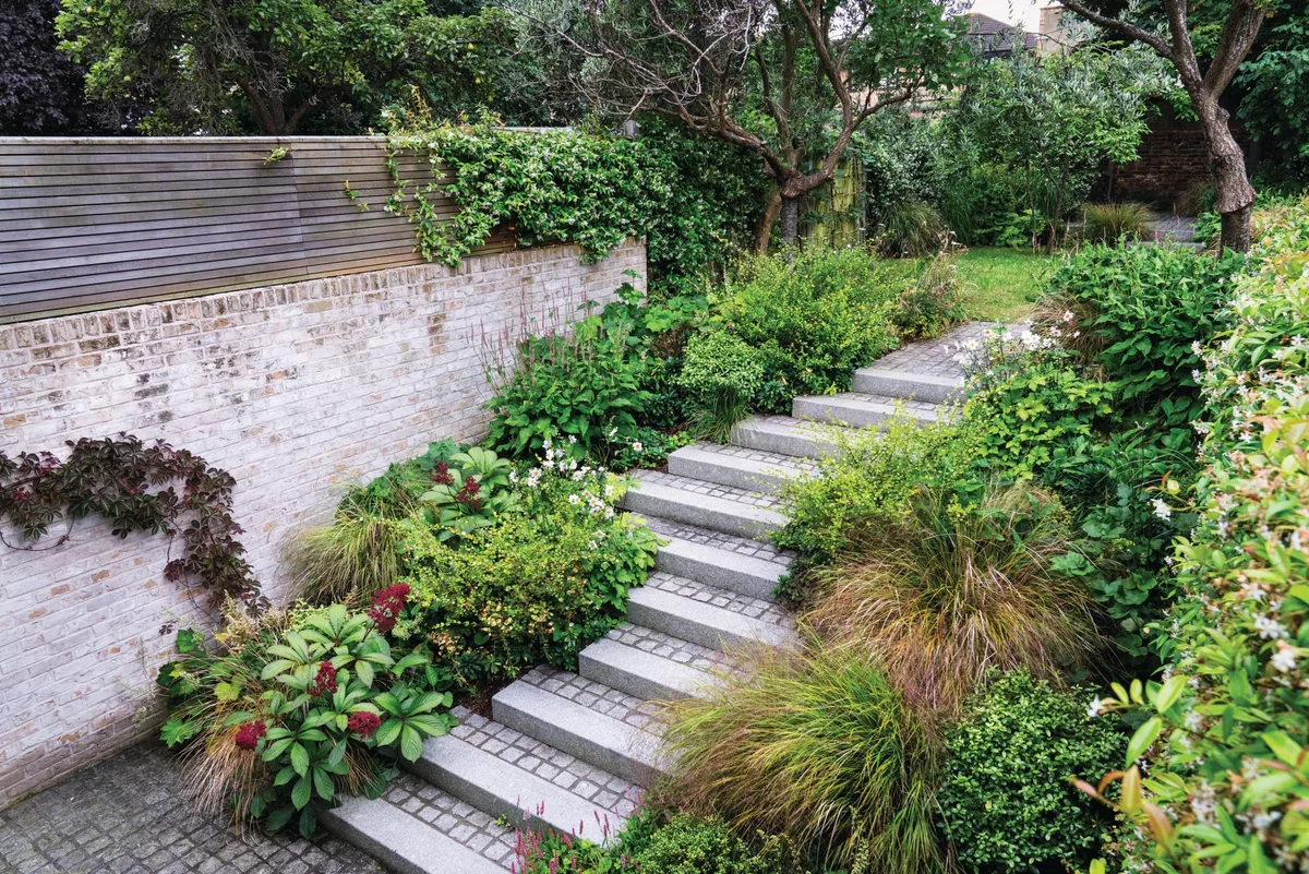 Miria Harris small London garden Garden steps and borders