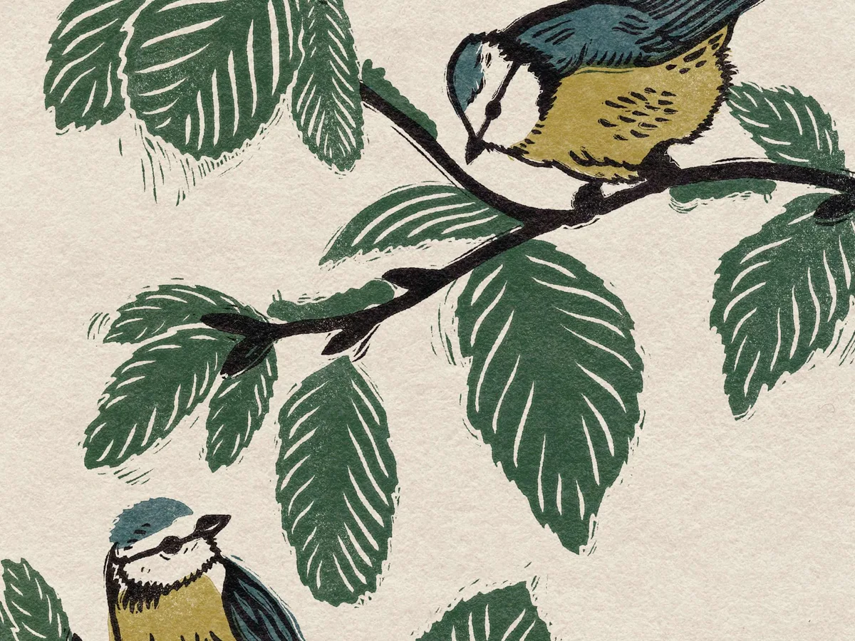 gardens_illustrated_bluetits_preview Blue tit garden illustration