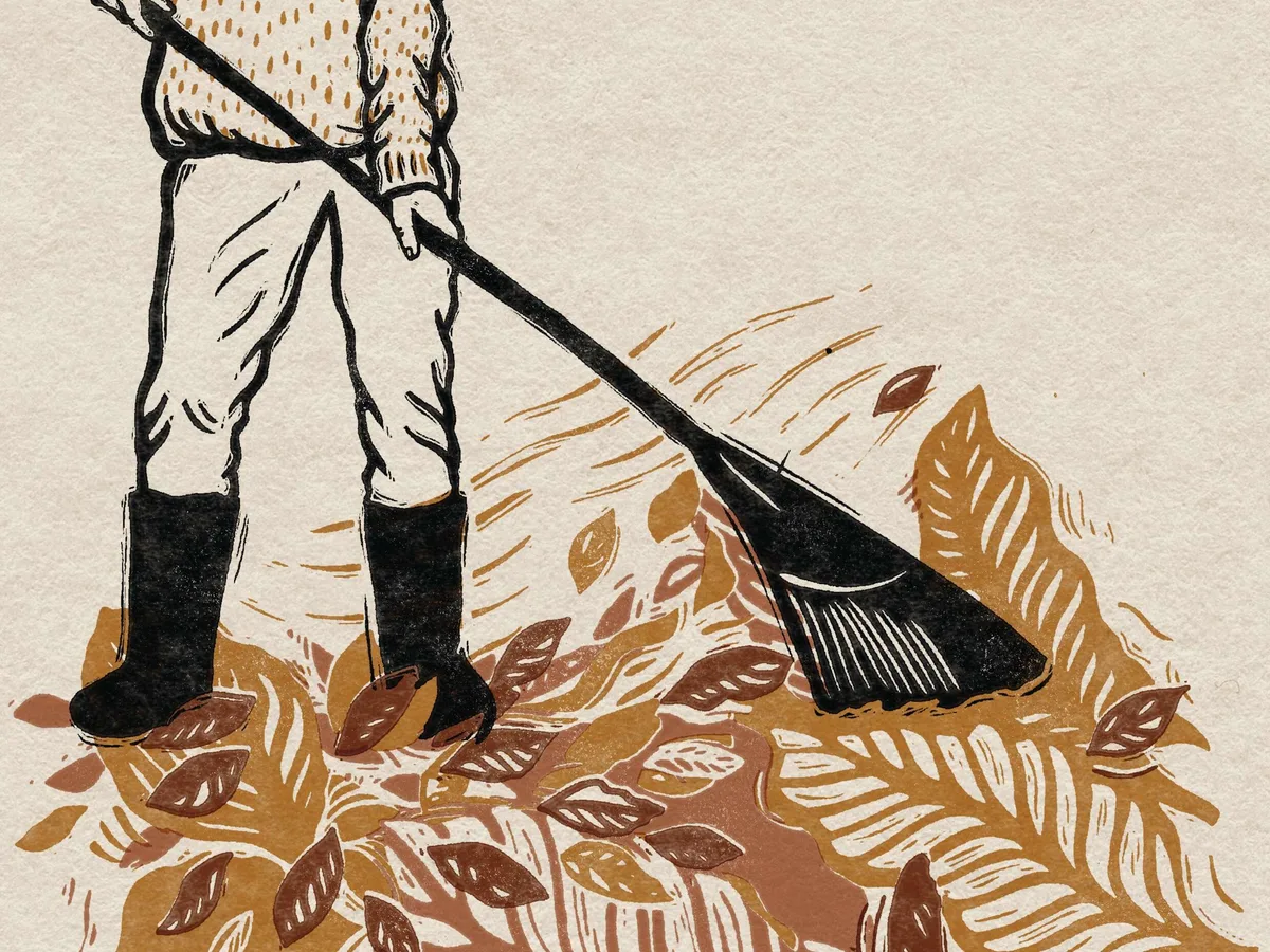 Raking leaves illustration Raking leaves illustration