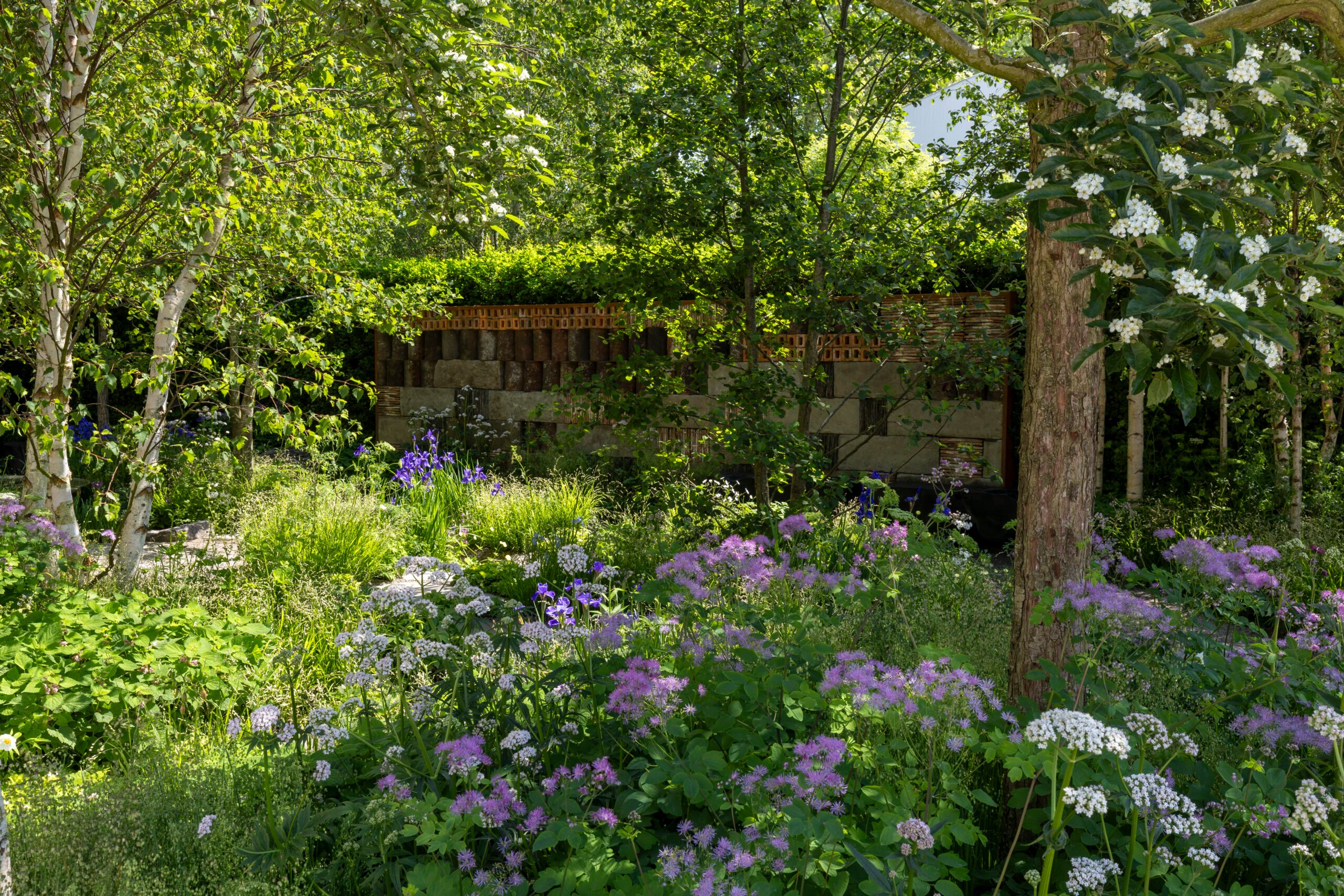 Muscular Dystrophy UK – Forest Bathing Garden at RHS Chelsea Flower Show. Designed by Ula Maria