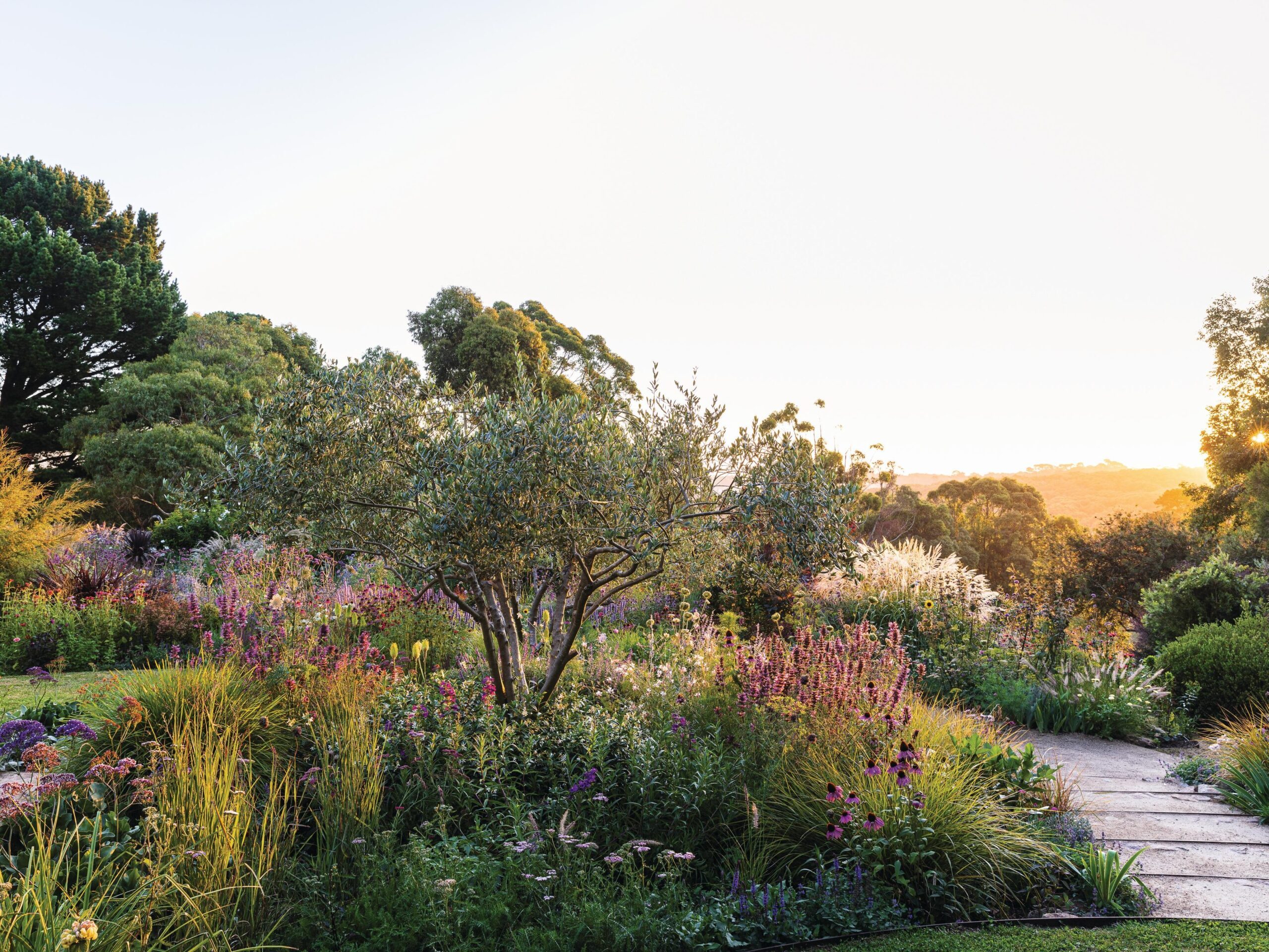 Garden in summer