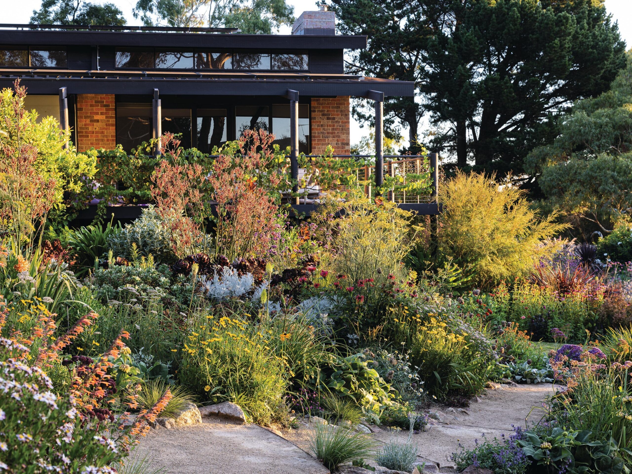 House overlooking summer garden