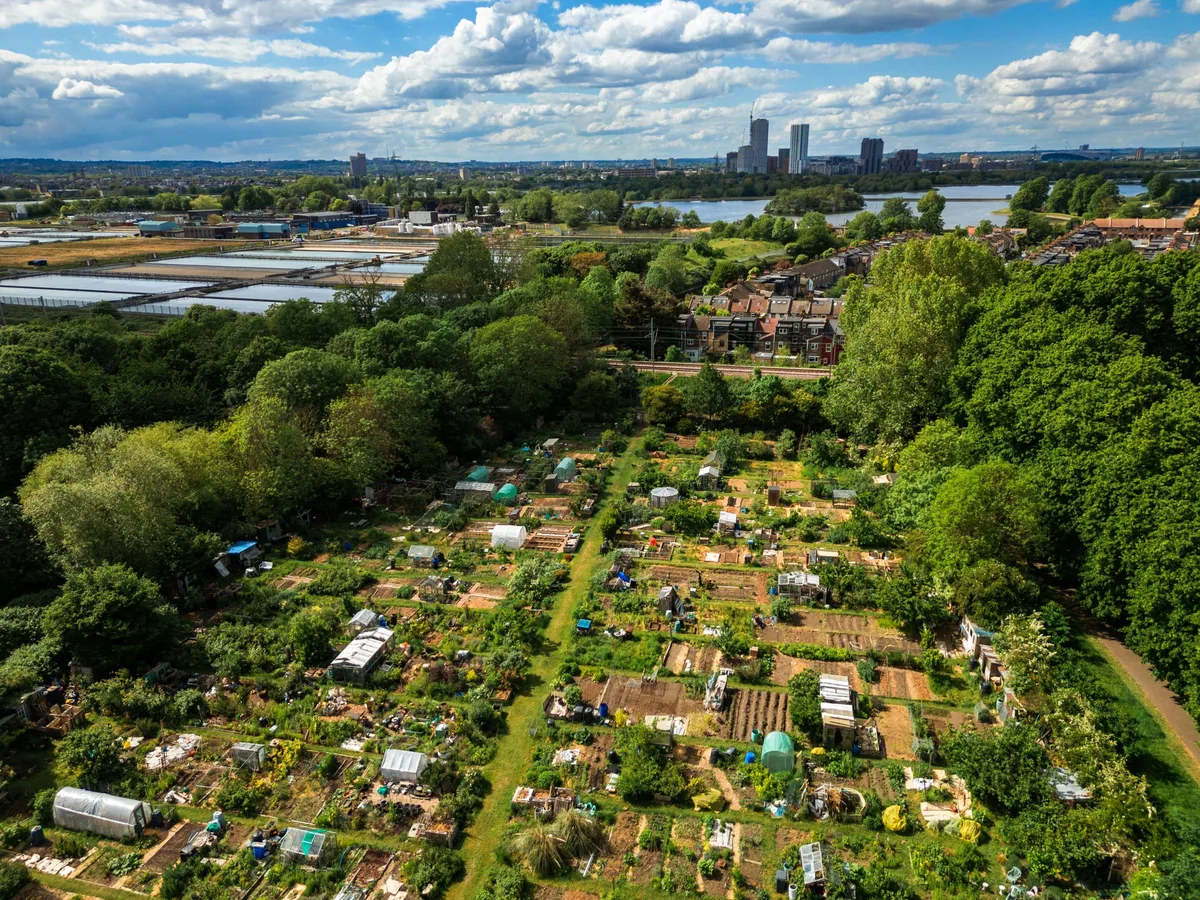 Aerial view of urban allotments in London, UK Allotments in London