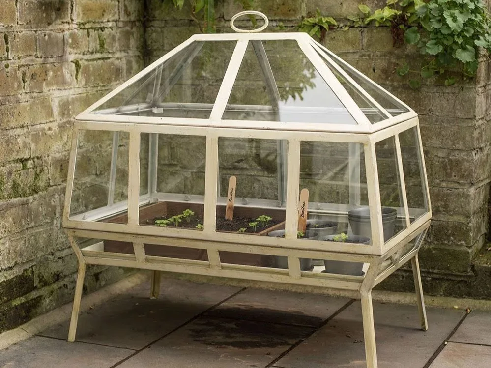 Crocus Victorian greenhouse Crocus Victorian greenhouse on a patio