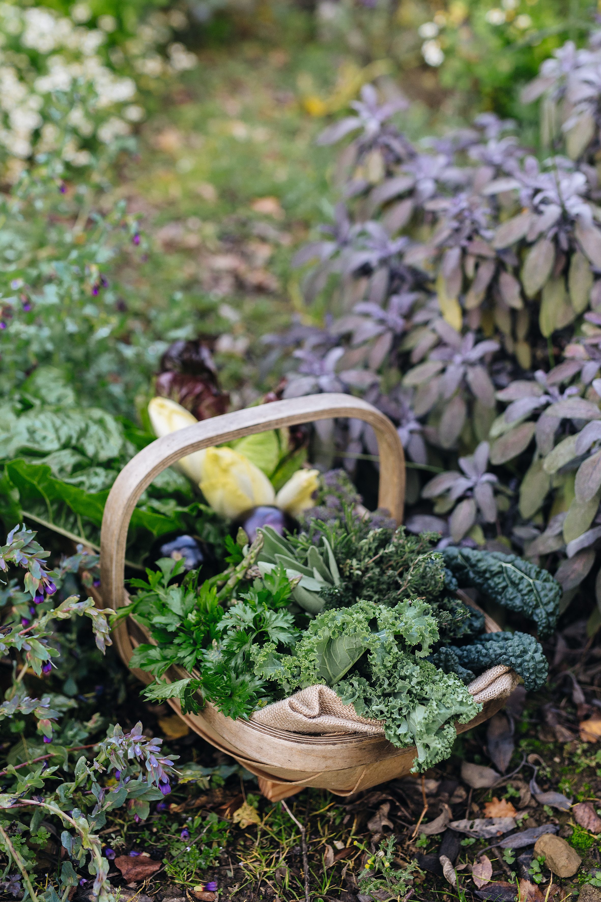 Our ingredients