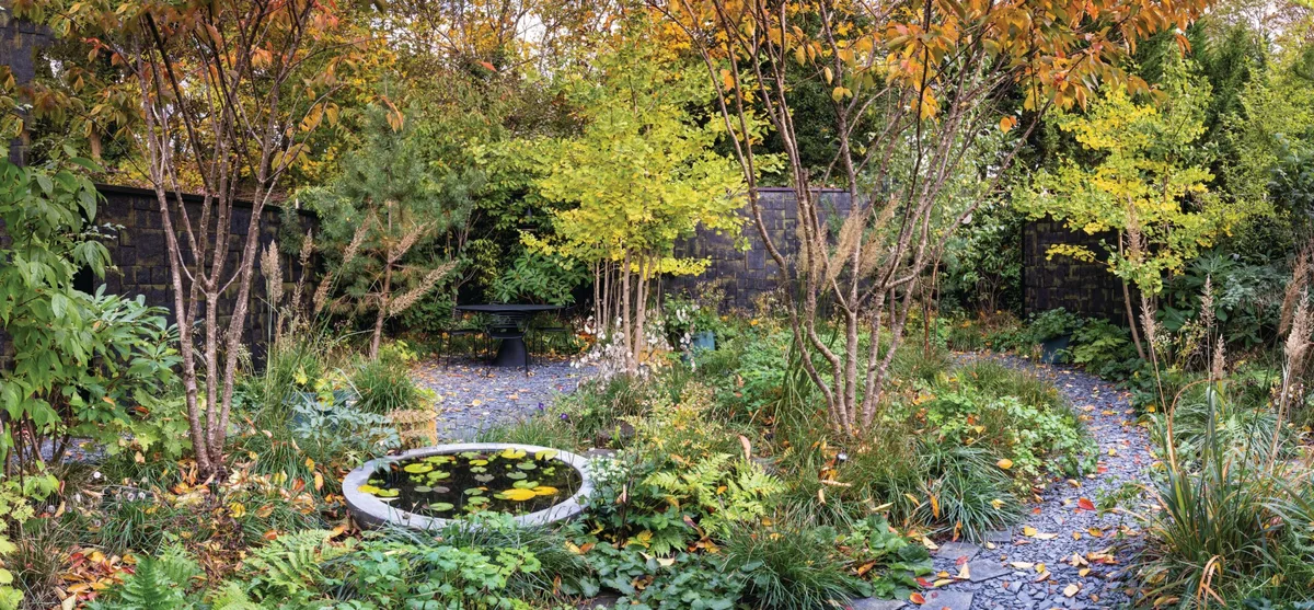 South London garden designed by Stefano Marinaz South London garden designed by Stefano Marinaz