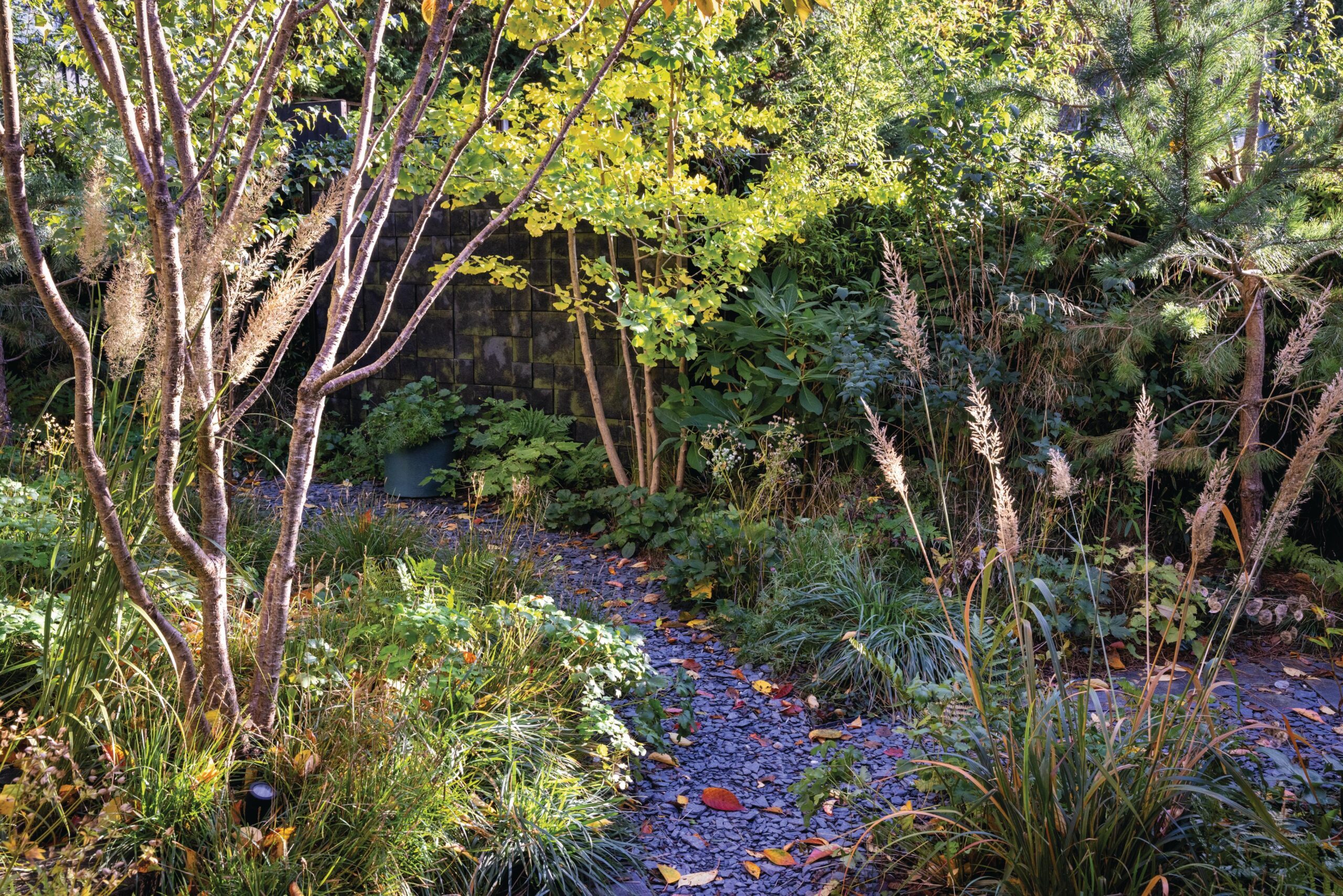 South London garden designed by Stefano Marinaz