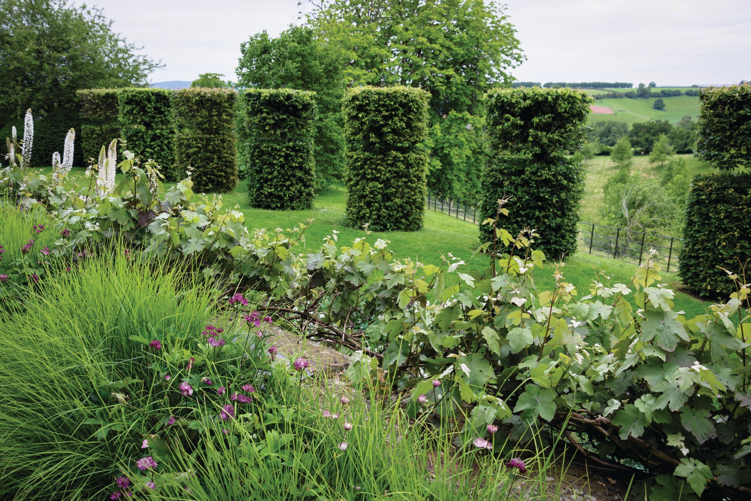 West of the house, beech sentinels deftly define a generous garden room open to the landscape and guard the cliff-like slope down to Peter’s perry orchard, where characterfully named local pears, such as ‘Harley Gum’, ‘Hendre Huffcap’ and ‘Winnall’s Longdon’, grow.