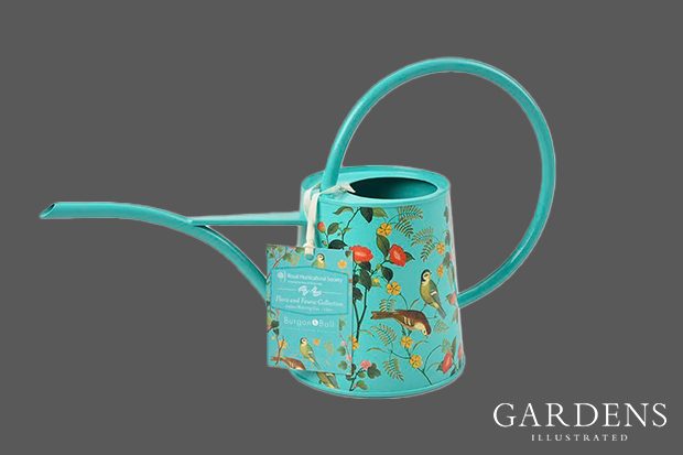 1L RHS Indoor Watering Can, Flora & Fauna