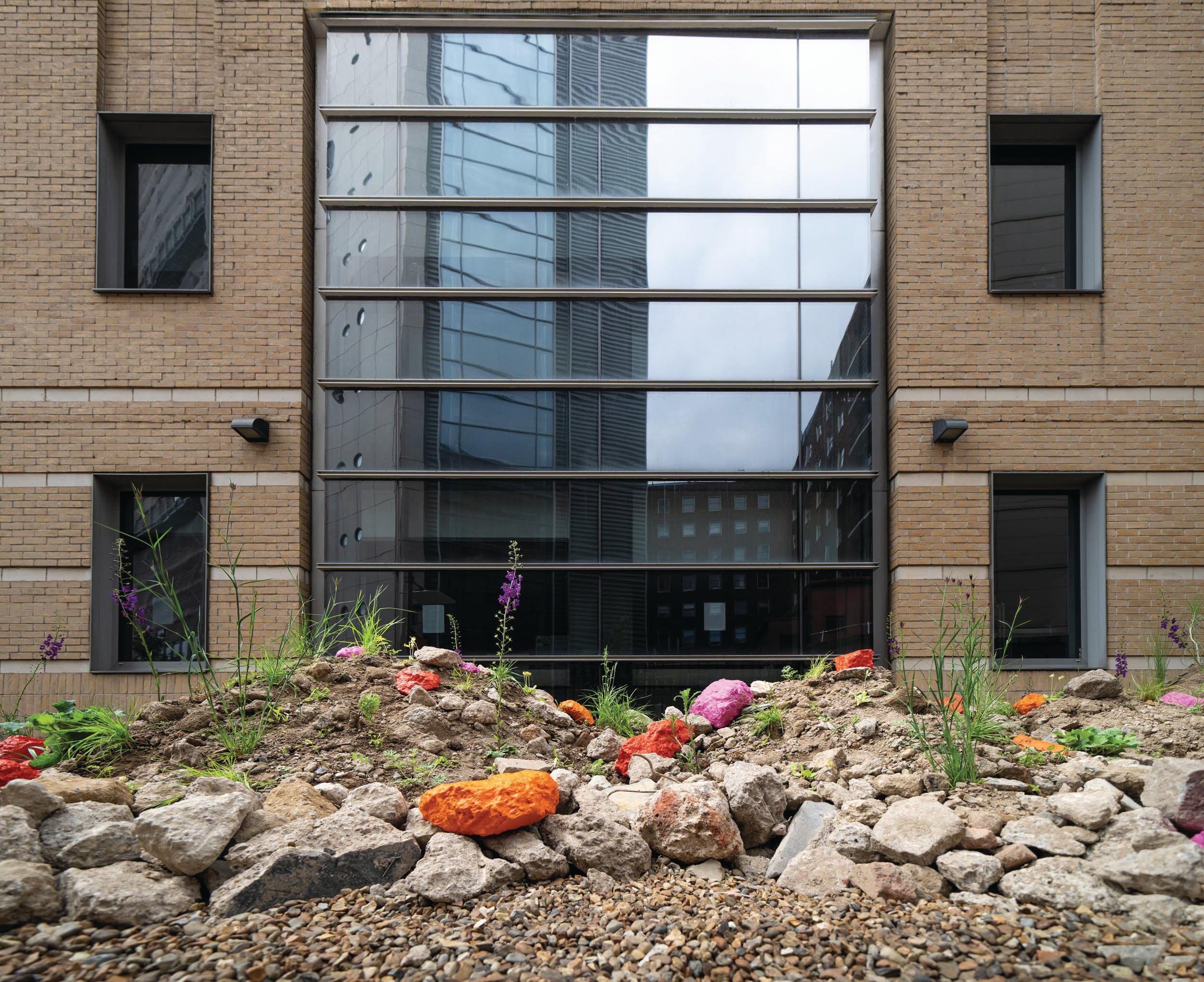 How to create a sustainable garden