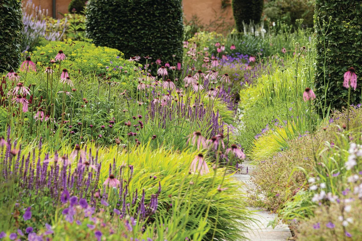 A flower garden A flower garden