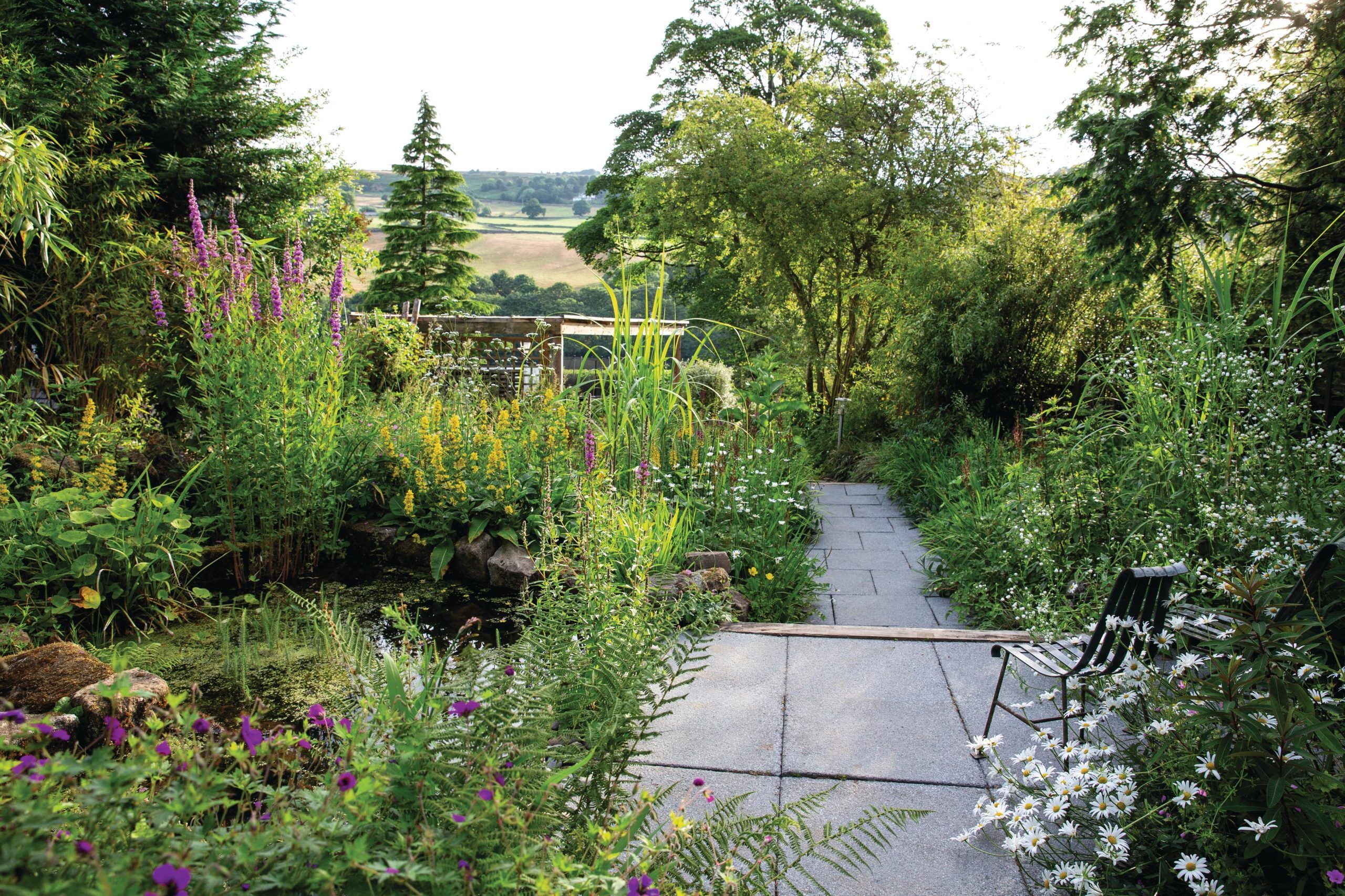 Nigel Dunnett's garden in Sheffield