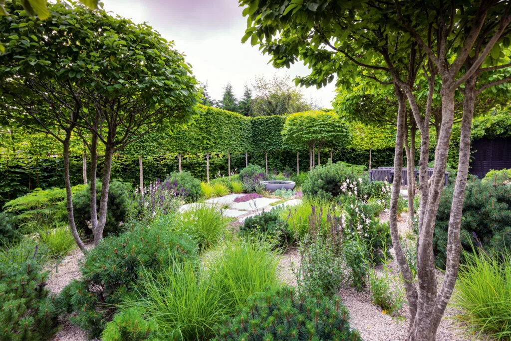 A suburban garden designed by Colm Joseph A gravel garden designed by Colm Joseph