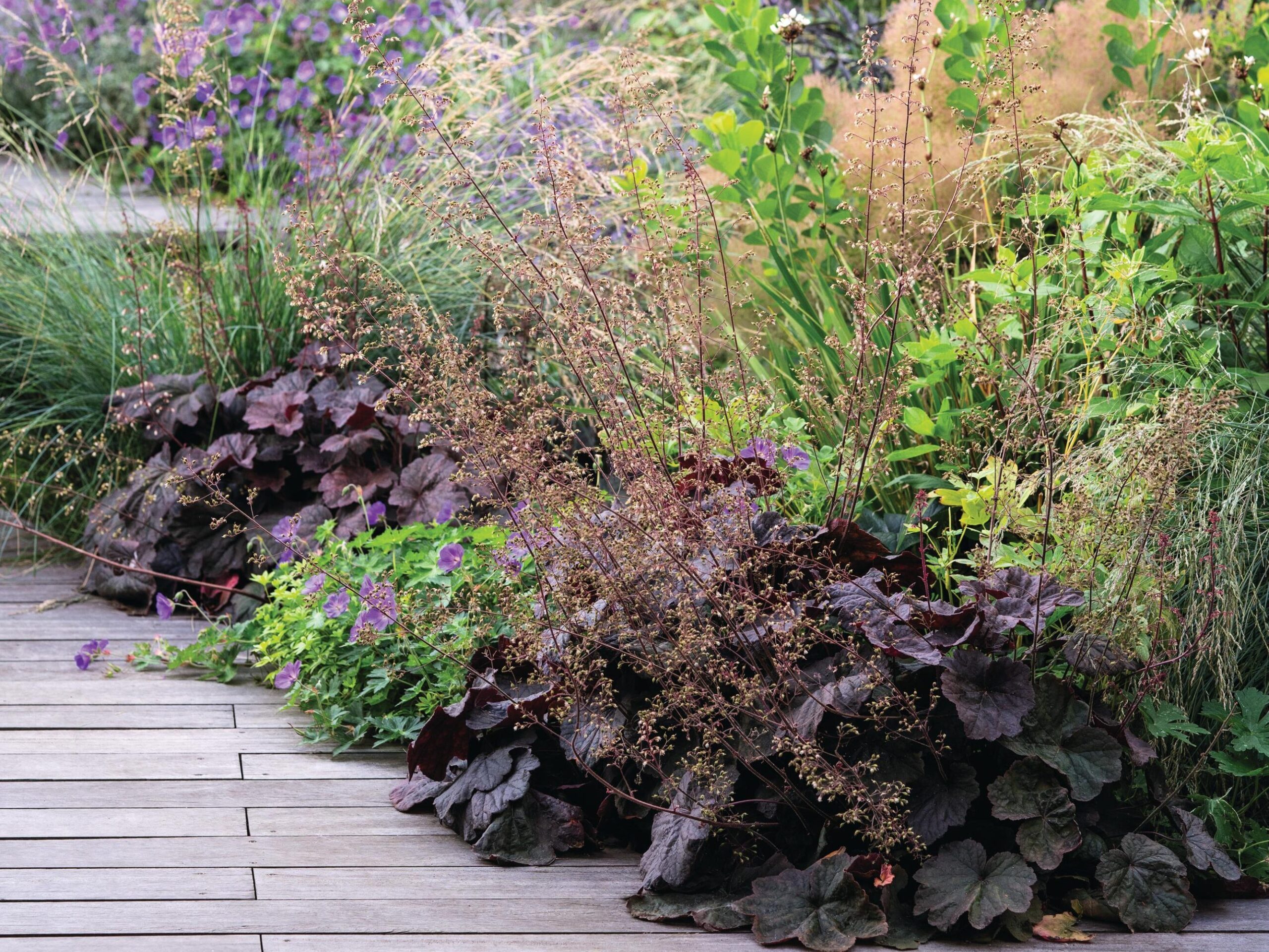 Garden and paving