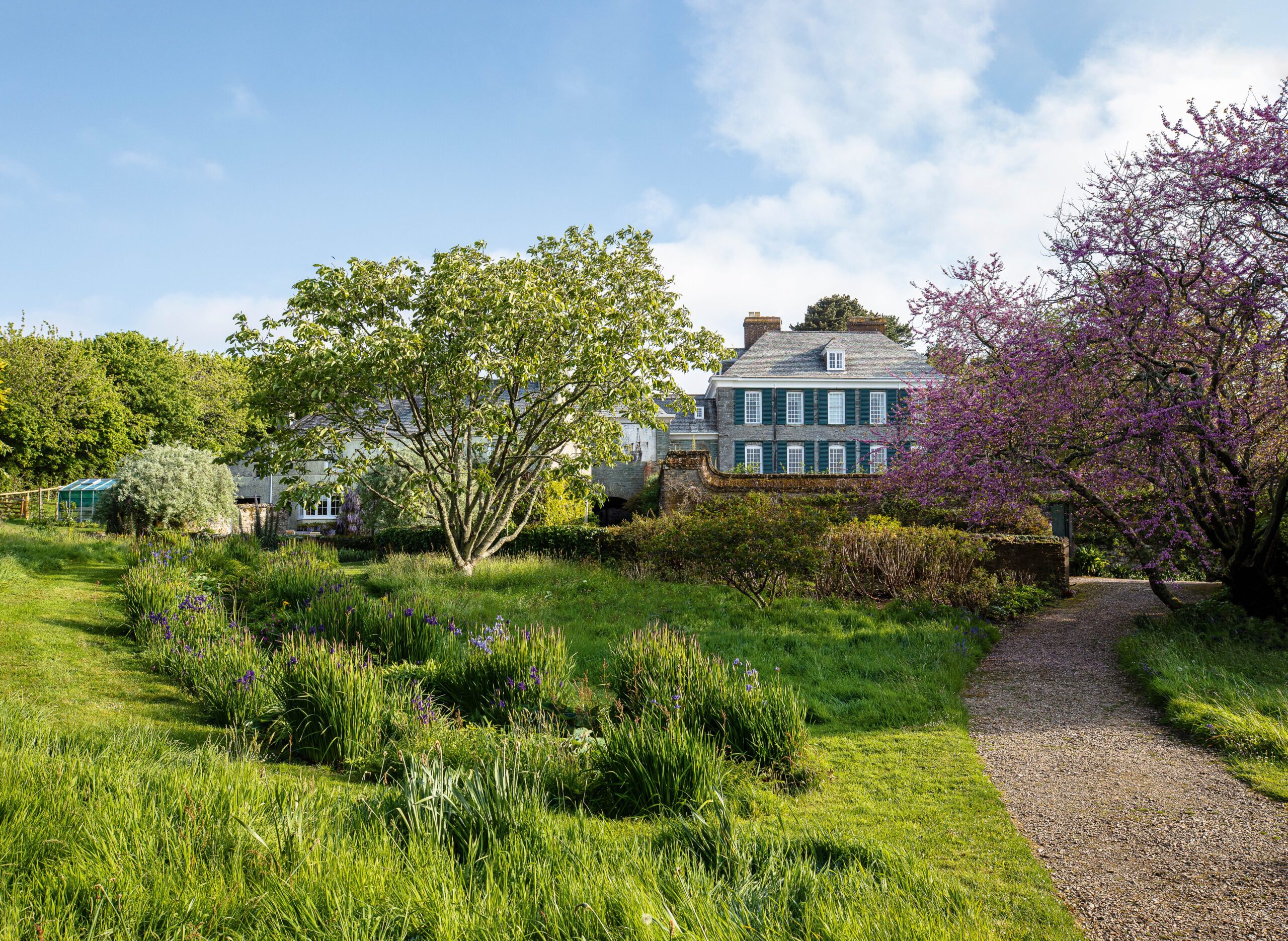 Lawn at Mothecombe House