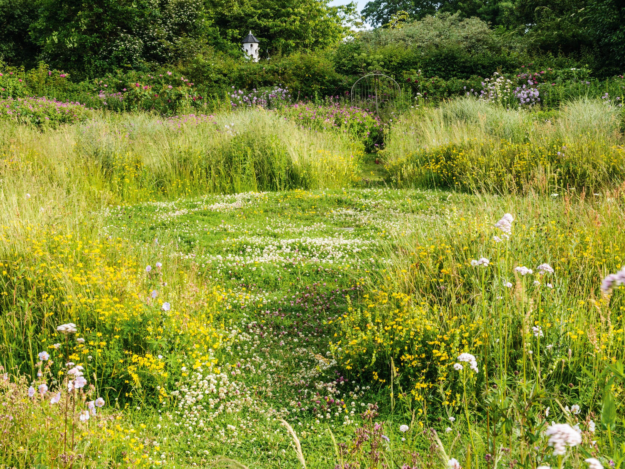 The lawn at Sticky Wicket