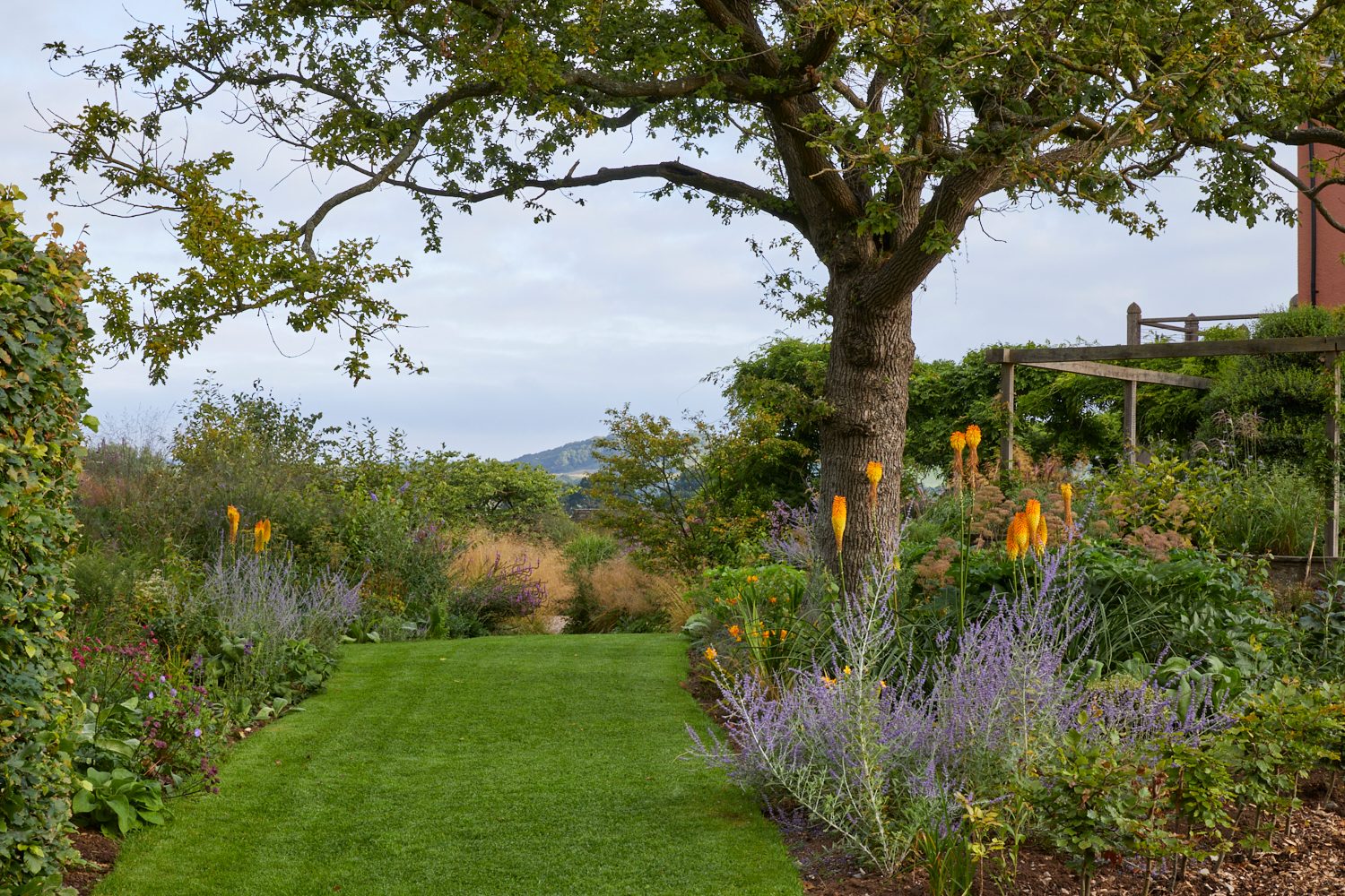 Yeo Valley Organic Garden