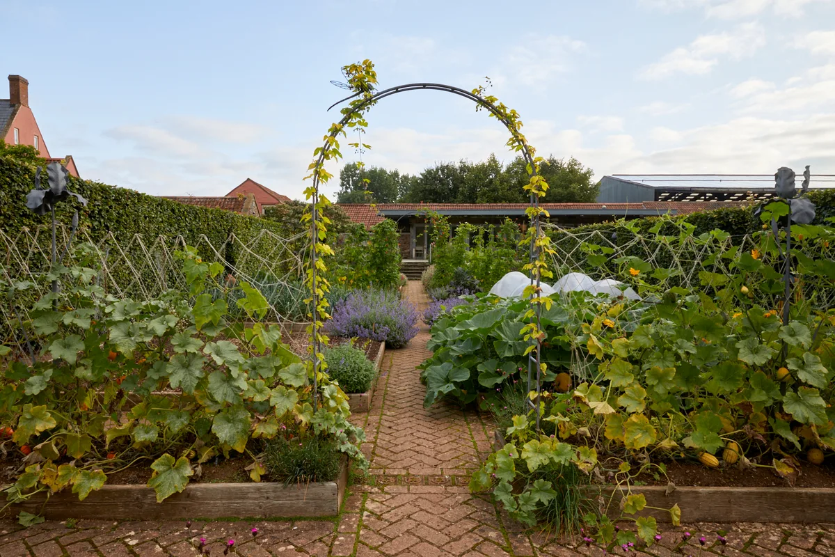 Yeo Valley Organic Garden Yeo Valley Organic Garden