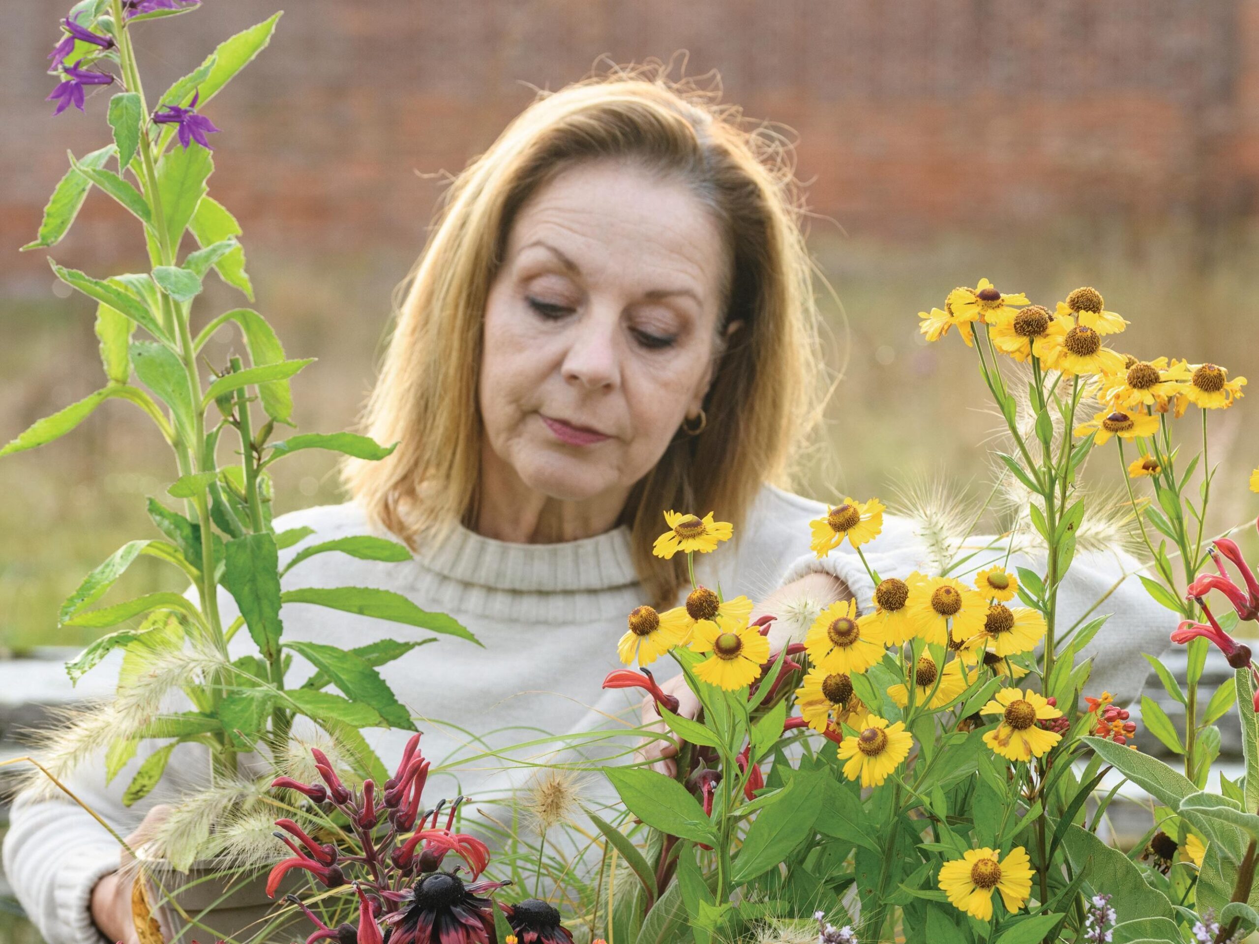 Jo Thompson planting up the pot for late-summer to autumn