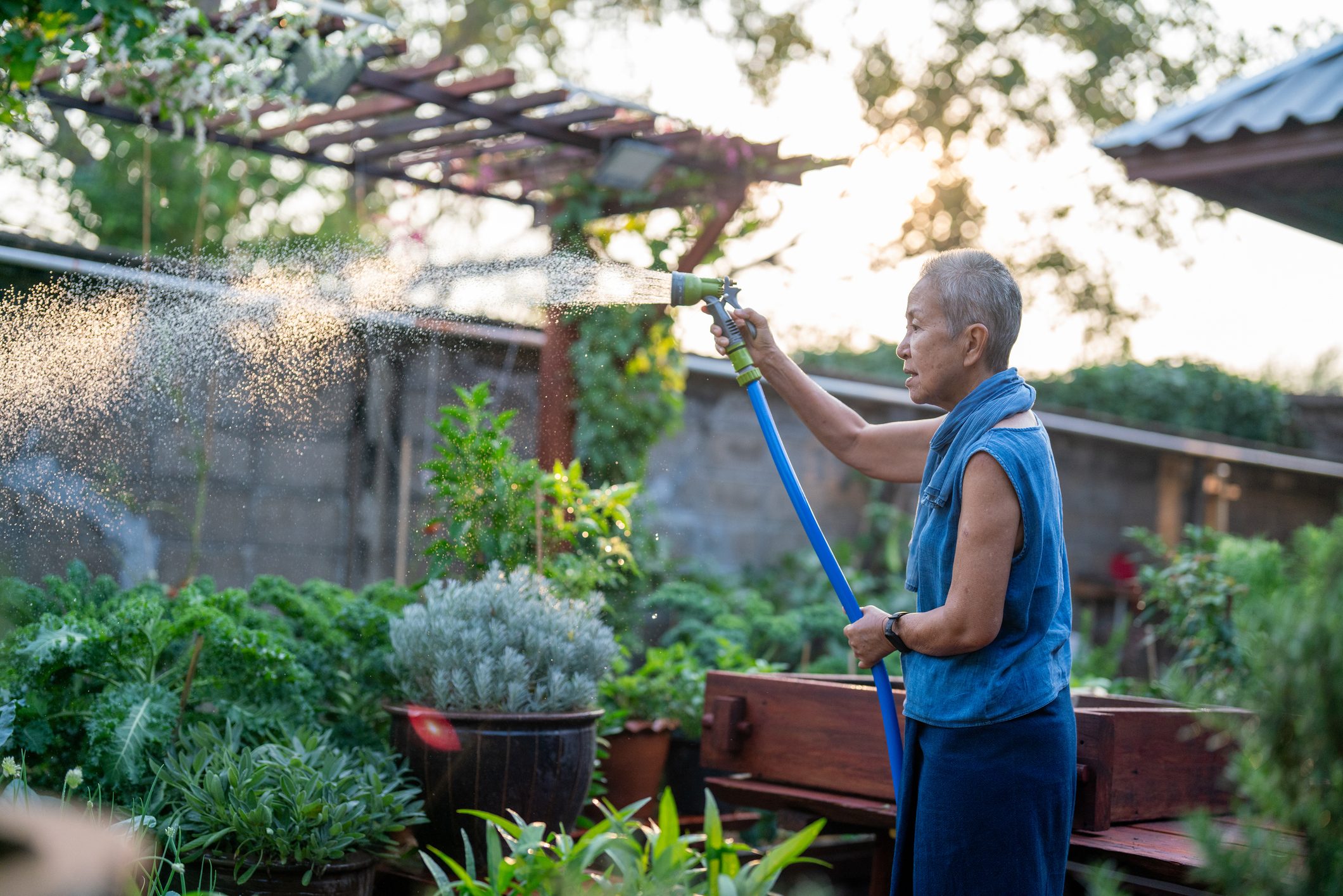 A woman watering with a hosepipe