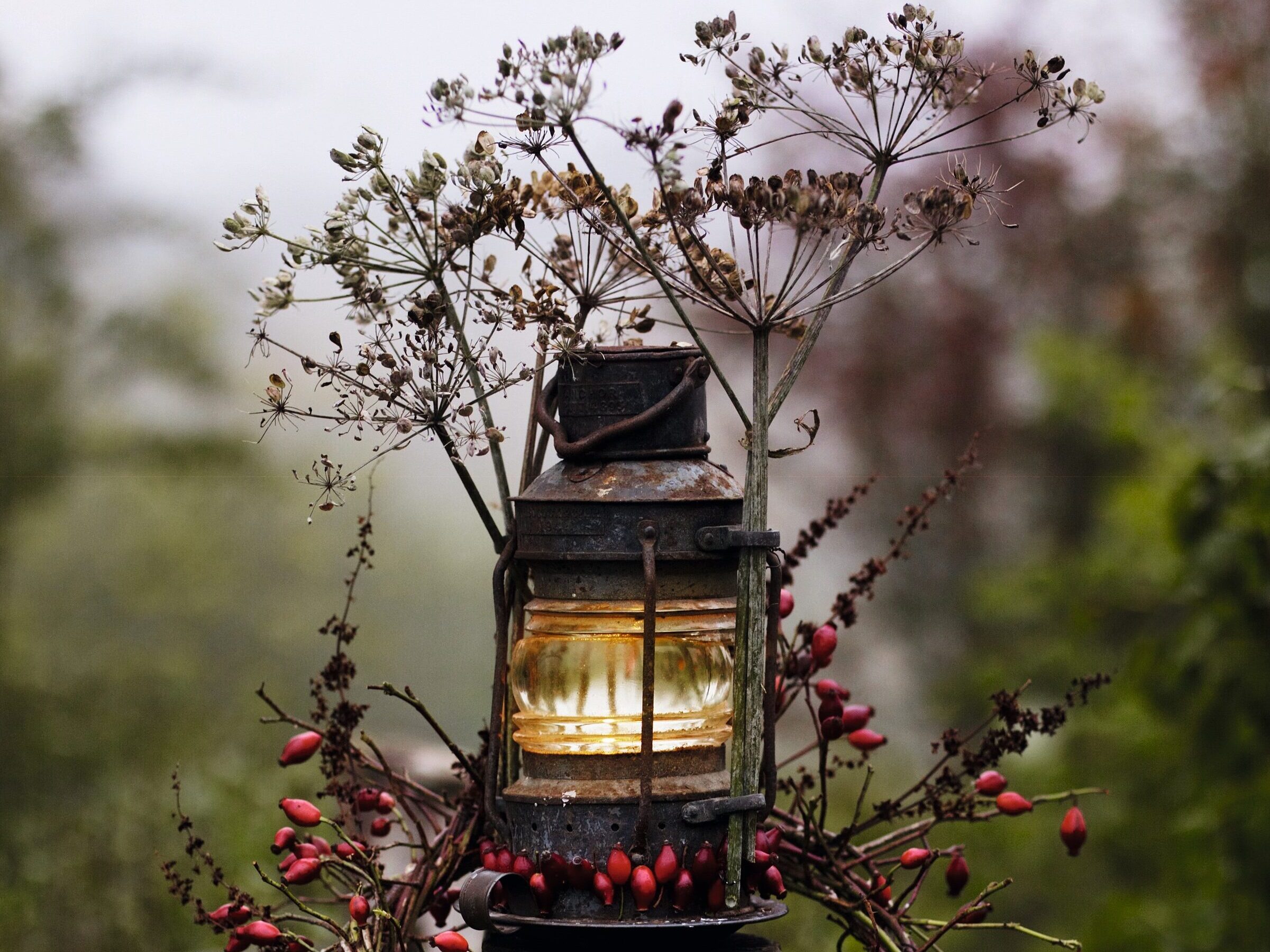 Garden light for Christmas using natural materials © Andrew Montgomery 