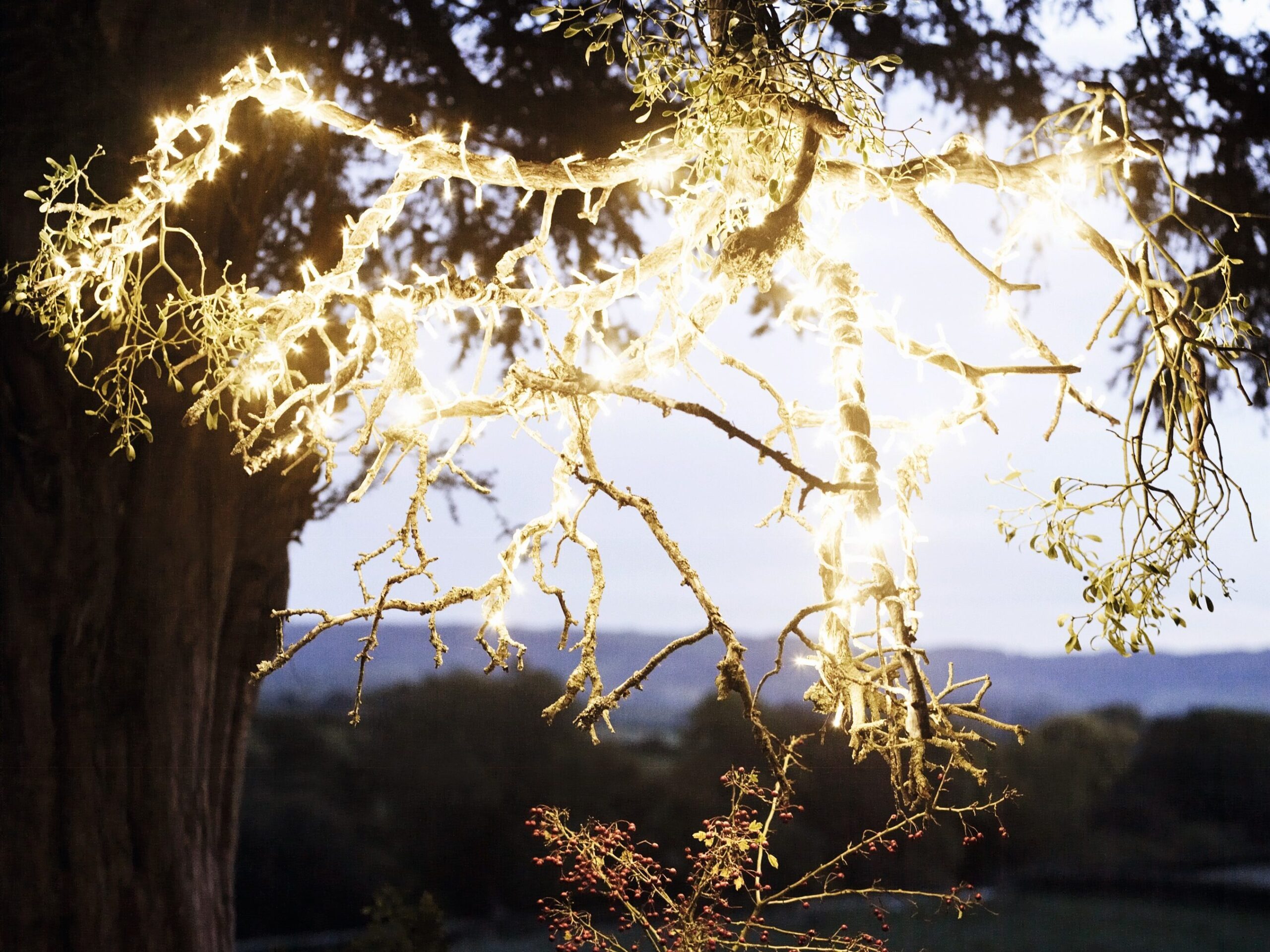 Branch chandelier for outdoor lighting at Christmas © Andrew Montgomery 