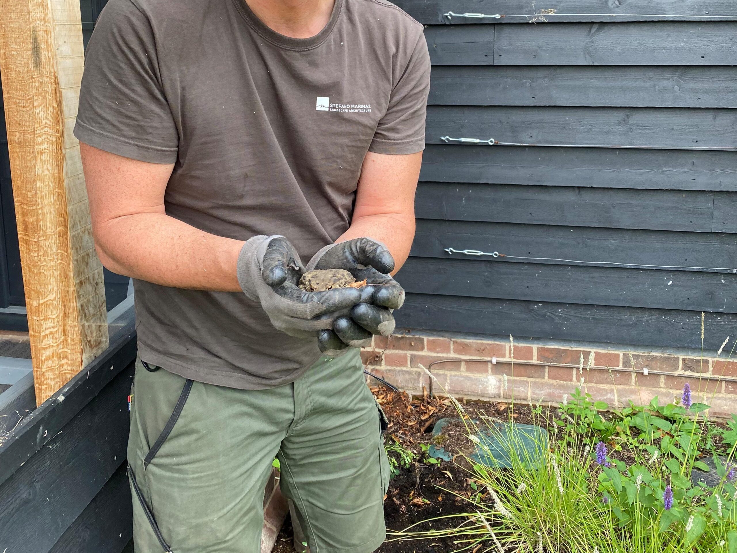 Finding nests, toads and insects throughout the seasons at Church barn
