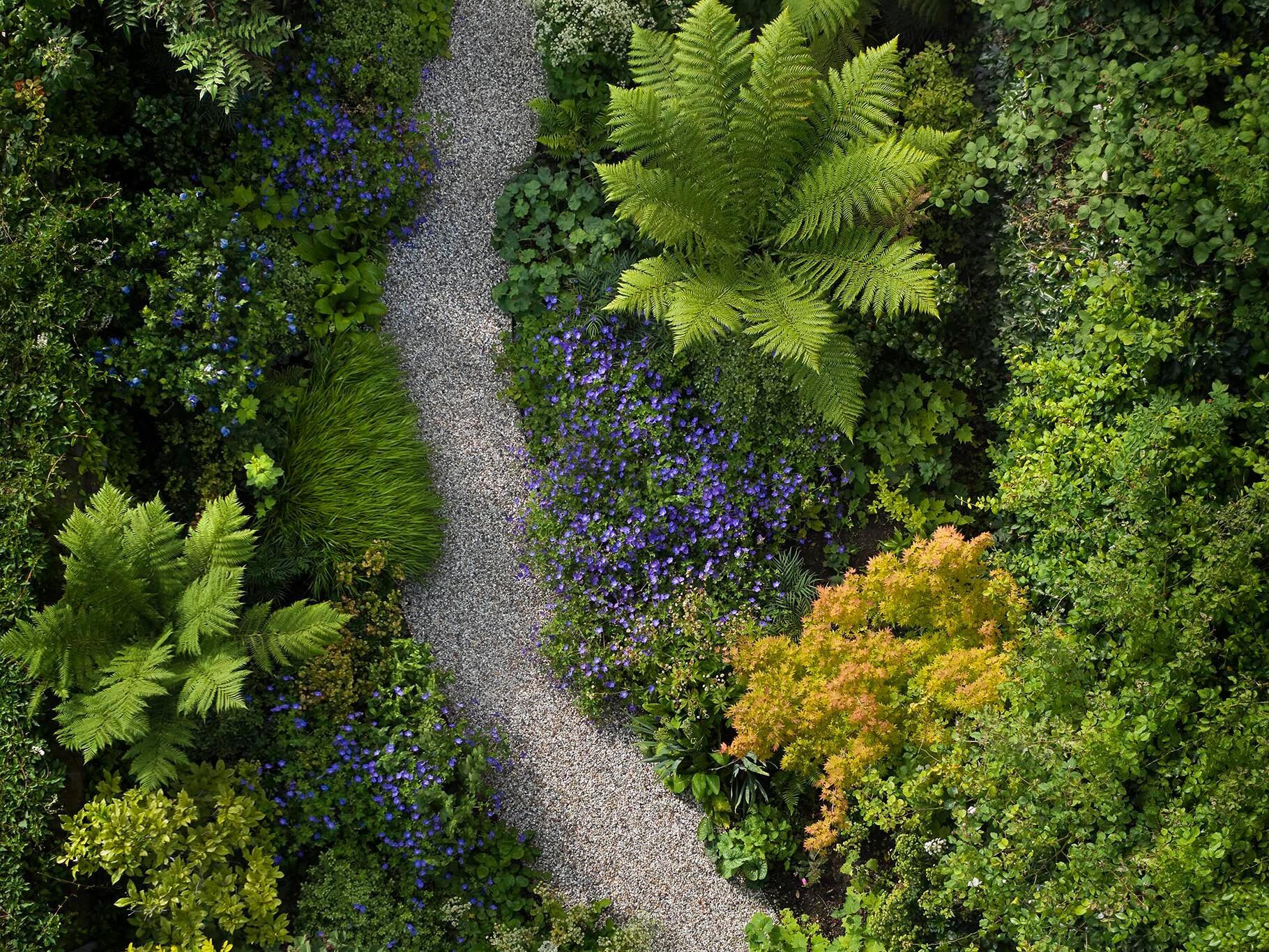 002 - Maximalist planting designs in Stefano's designs, a trend for 2025
