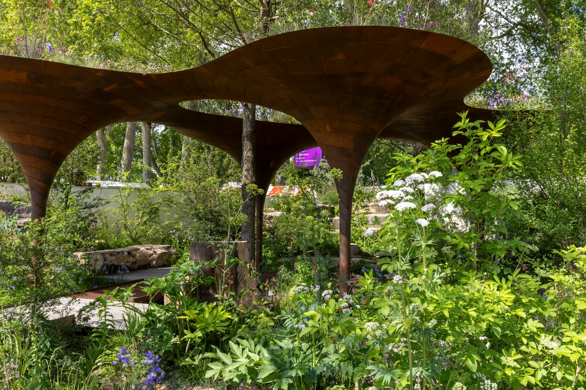 The WaterAid Garden. Designed by Tom Massey and Je Ahn. Sponsored by Project Giving Back. In support of WaterAid. Show Garden. https://ngs.org.uk/ RHS Chelsea Flower Show 2024Show Garden. RHS Chelsea Flower Show 2024. Site no.323 The WaterAid Garden. Designed by Tom Massey and Je Ahn at RHS Chelsea Flower Show 2024. Sponsored by Project Giving Back. In support of WaterAid. Show Garden