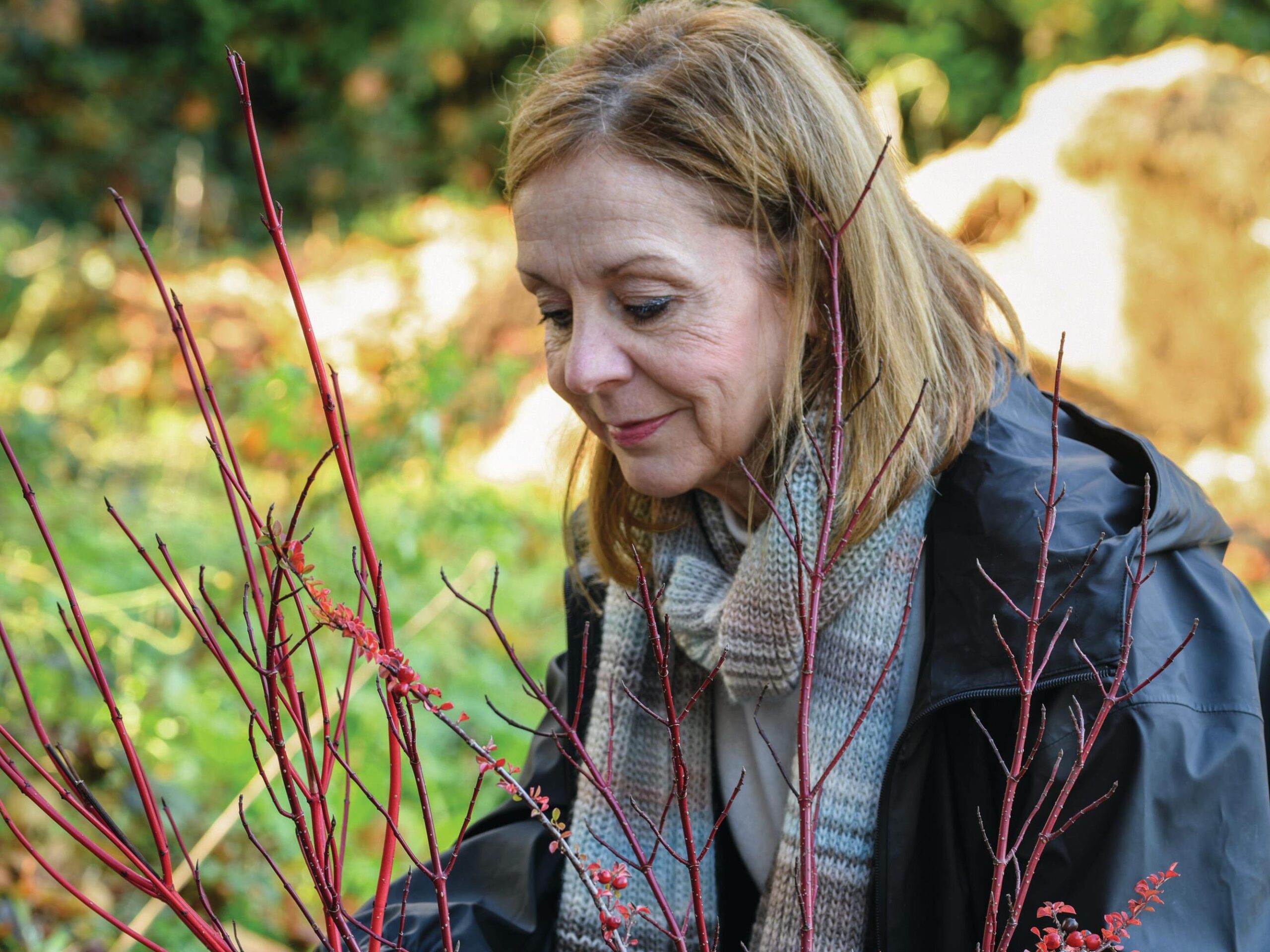 A warming winter pot using cornus alba and cotoneaster from Jo Thompson