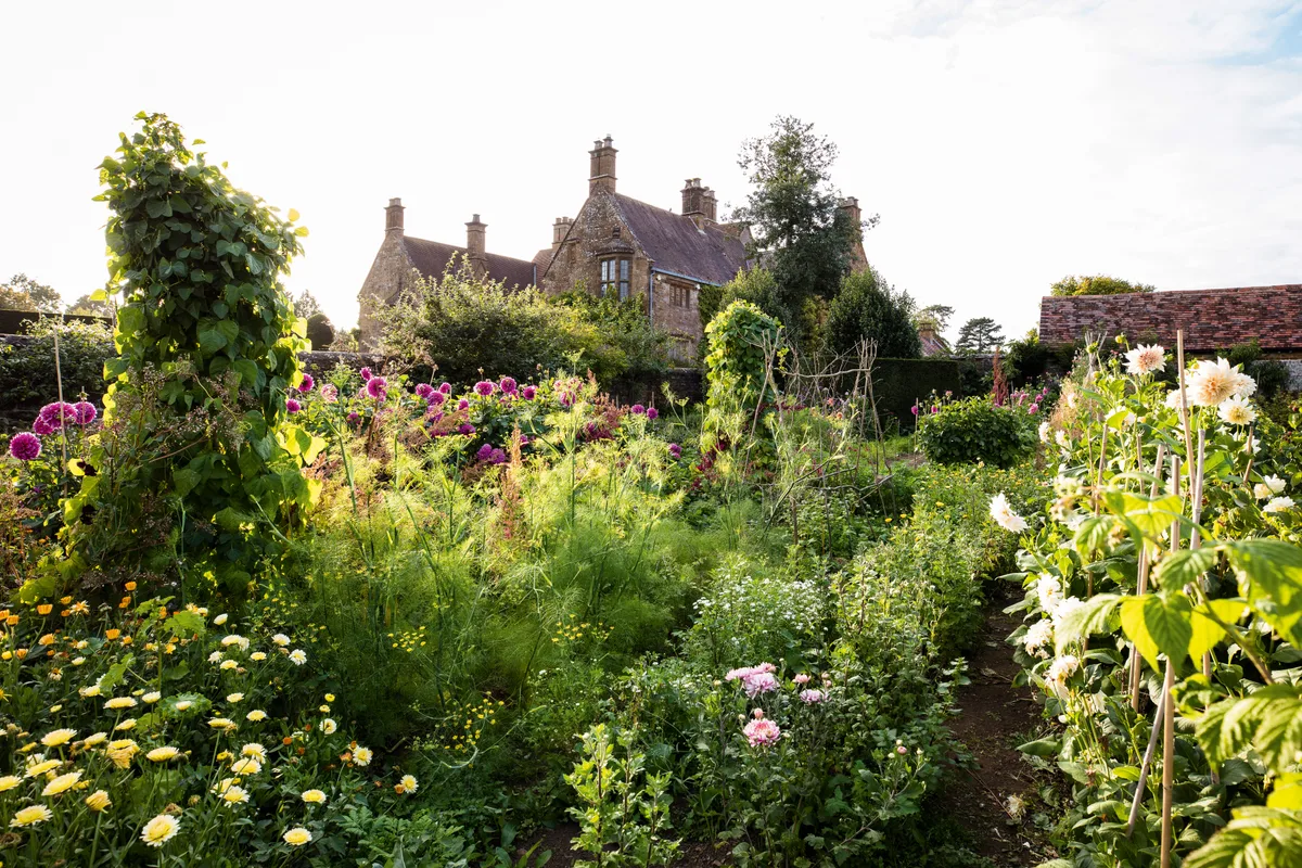 The walled garden at Wardington has a diverse mix of flowers and vegetables