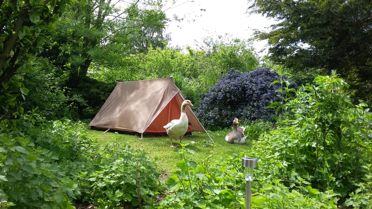 Camping in a garden Camping in a garden