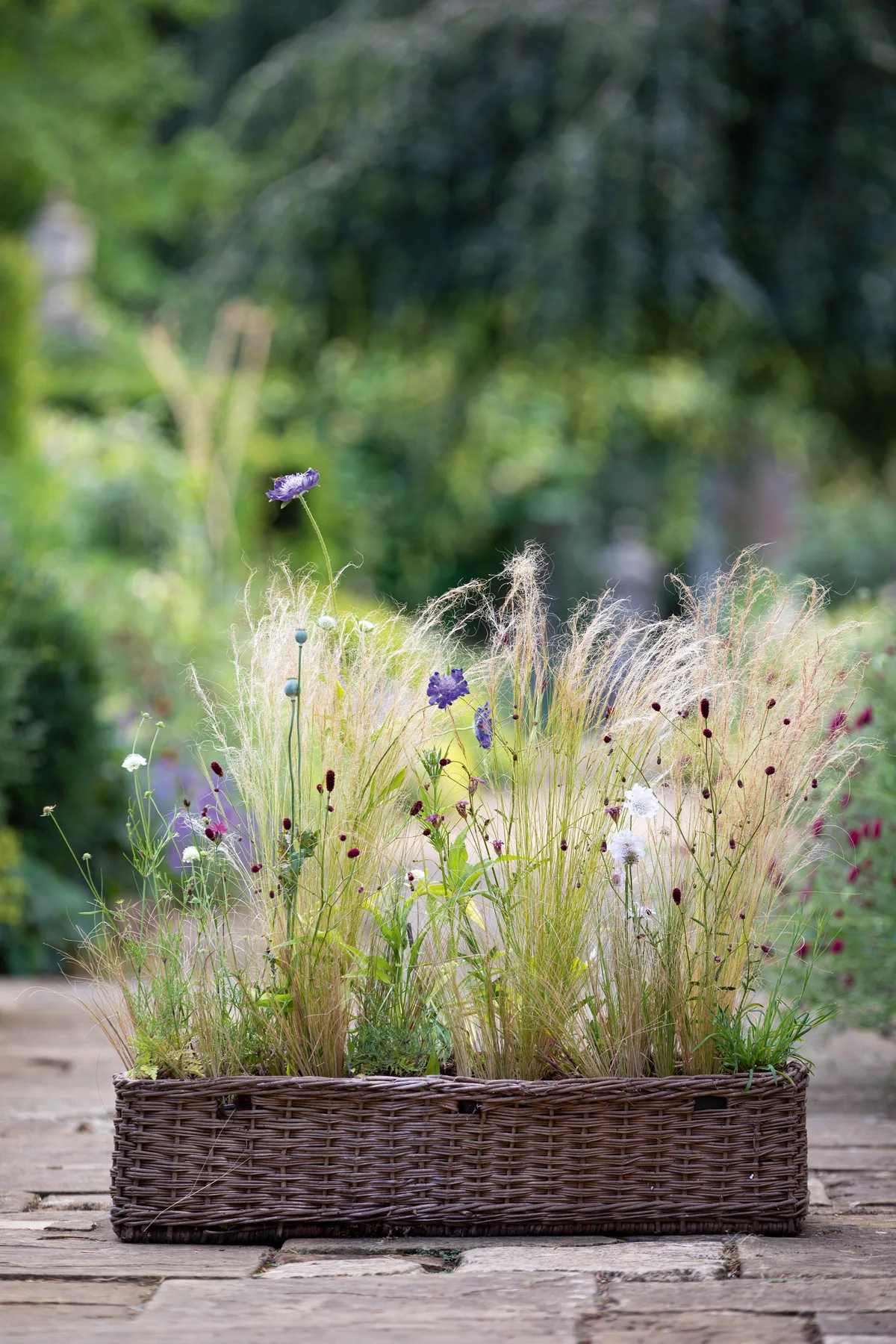 Summer meadow planter Summer meadow planter