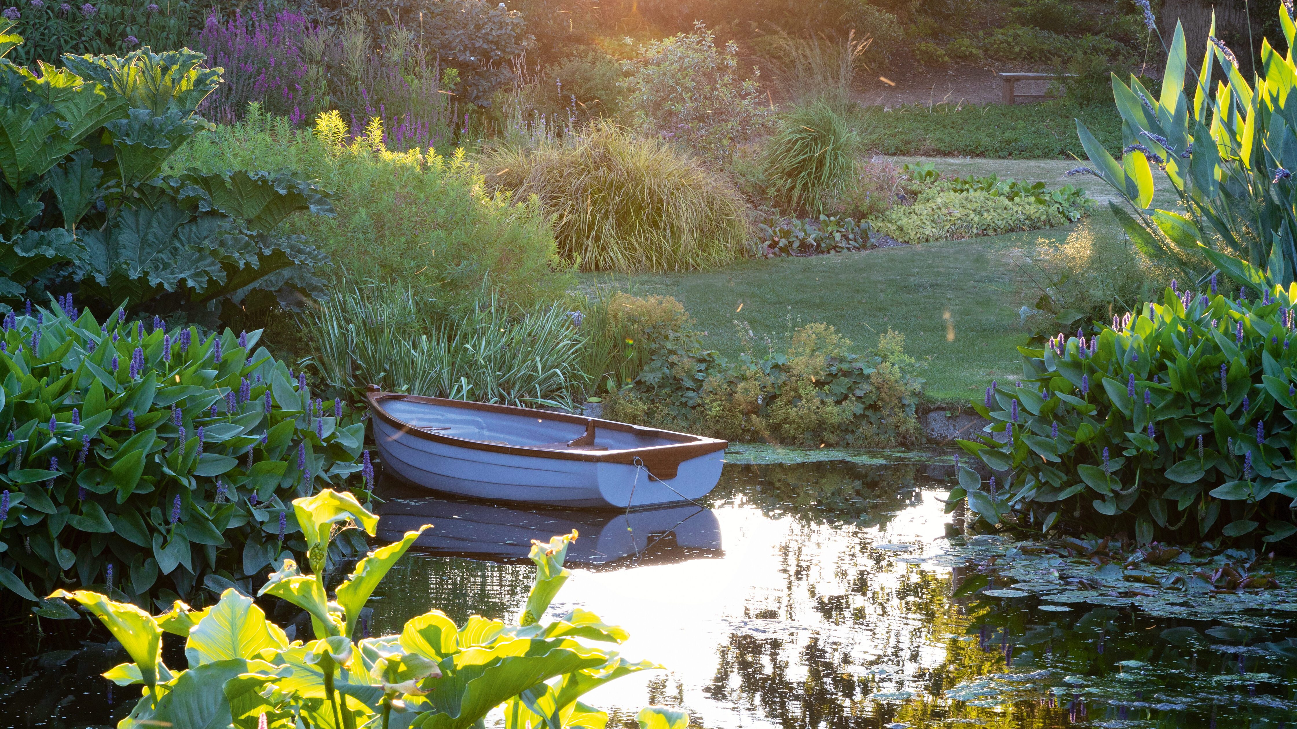 The Water Garden at Beth Chatto's Gardens