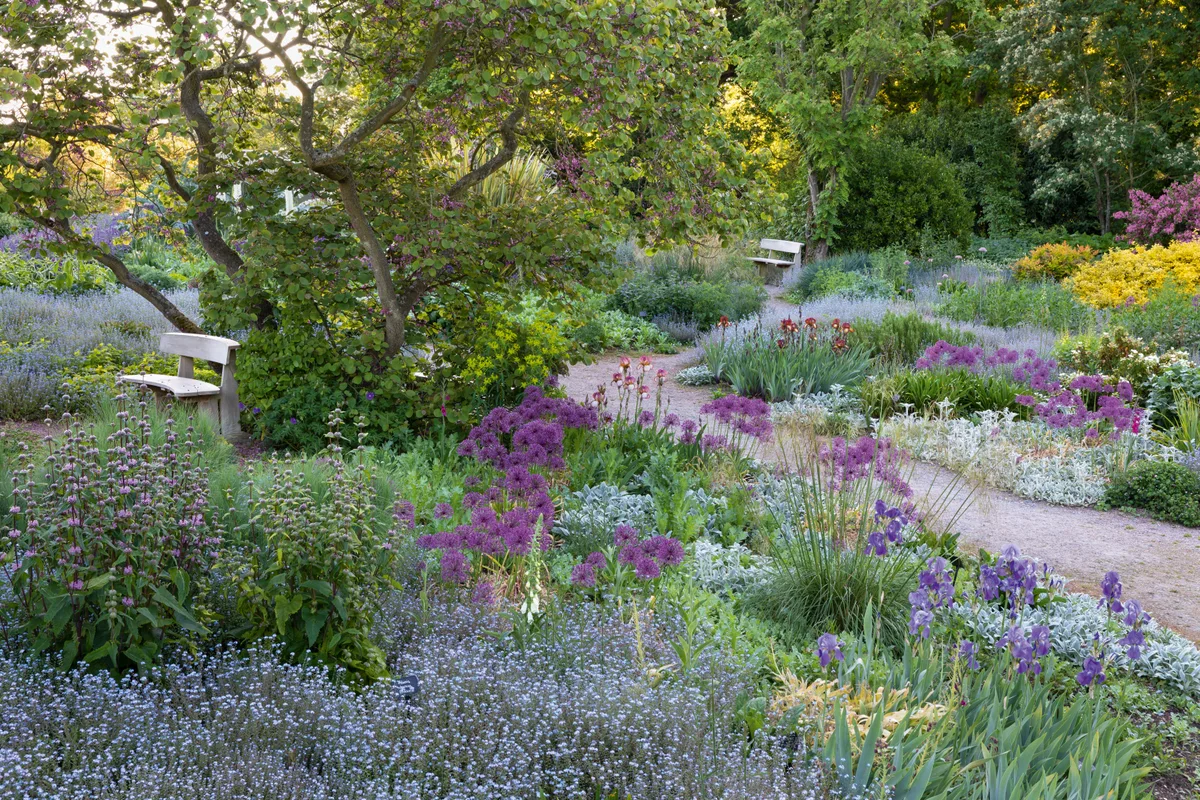 The Resevoir Garden at Beth Chatto's in Spring. The Reservoir Garden at Beth Chatto Gardens in Spring.