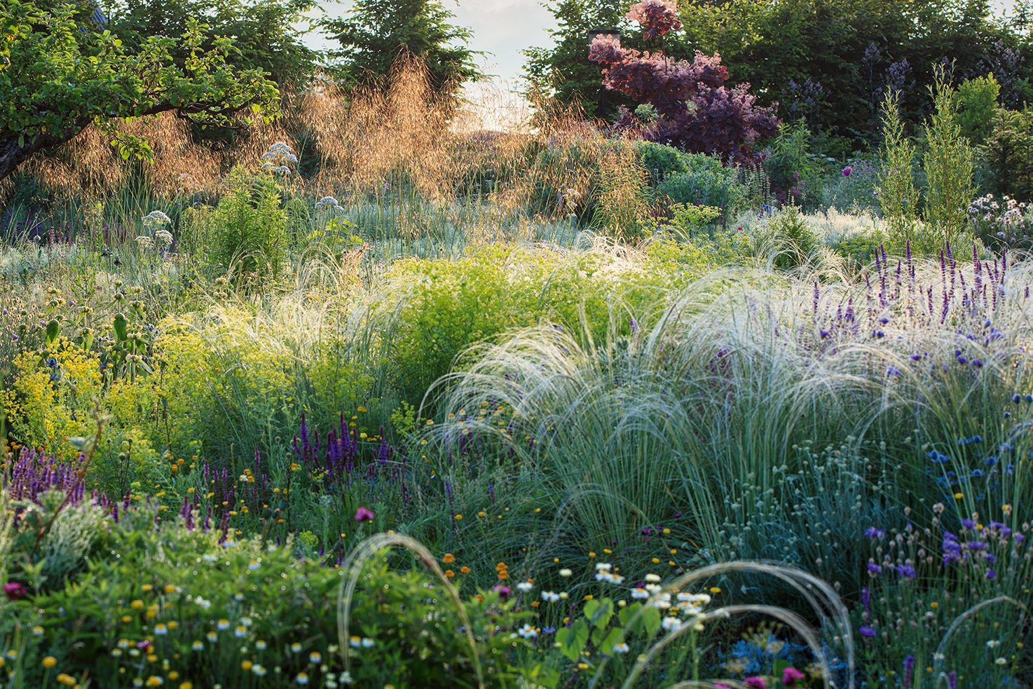 Peter Korn's new experimental garden