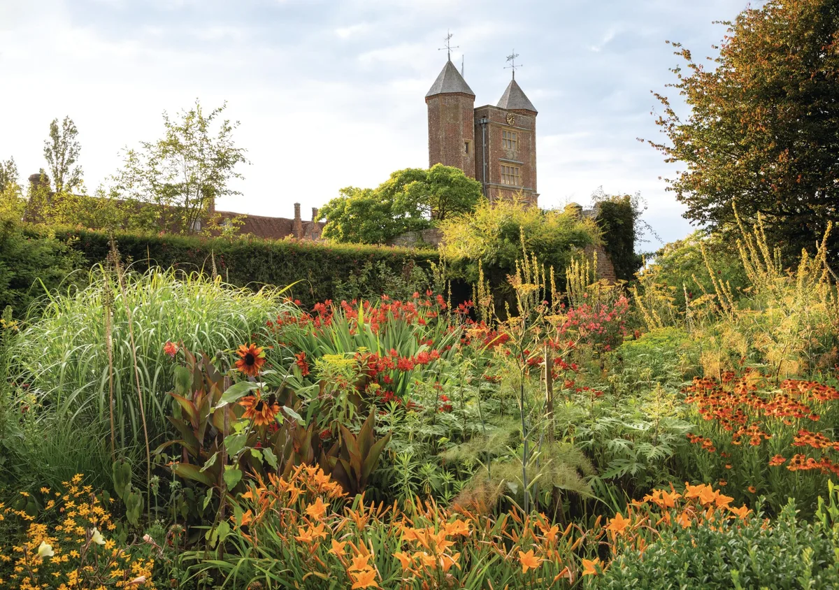 In high summer, the Cottage Garden at Sissinghurst is a riot of colour. The large, dark leaves of Canna ‘Wyoming’ and bright-red flowers of Crocosmia ‘Lucifer’, alongside orange daylily blooms, bring not only hot colours but lush foliage to give the space a jungle-like feel. Old cultivars also feature, including peachy-red Lathyrus odoratus ‘Henry Eckford’, bred in 1906, and, far right, rusty-hued Helenium ‘Moerheim Beauty’. In high summer, the Cottage Garden at Sissinghurst is a riot of colour. The large, dark leaves of Canna ‘Wyoming’ and bright-red flowers of Crocosmia ‘Lucifer’, alongside orange daylily blooms, bring not only hot colours but lush foliage to give the space a jungle-like feel. Old cultivars also feature, including peachy-red Lathyrus odoratus ‘Henry Eckford’, bred in 1906, and, far right, rusty-hued Helenium ‘Moerheim Beauty’.