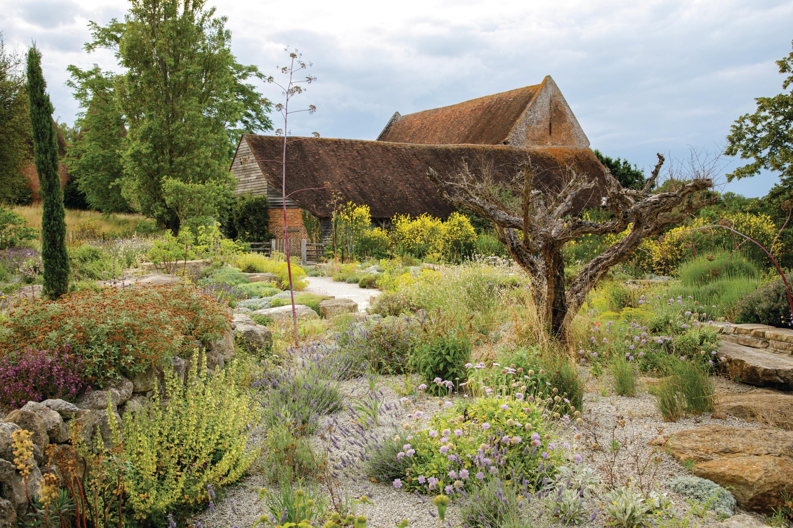 In the Greek island-inspired Delos garden, Cupressus sempervirens Stricta Group adds a vertical line, loved by Vita and Harold, echoed in the soaring poplar behind. Spartium junceum, or Spanish broom, is a quick growing nurse crop in the garden’s Mediterranean hedge, offering scented yellow blooms and narrow upright foliage.