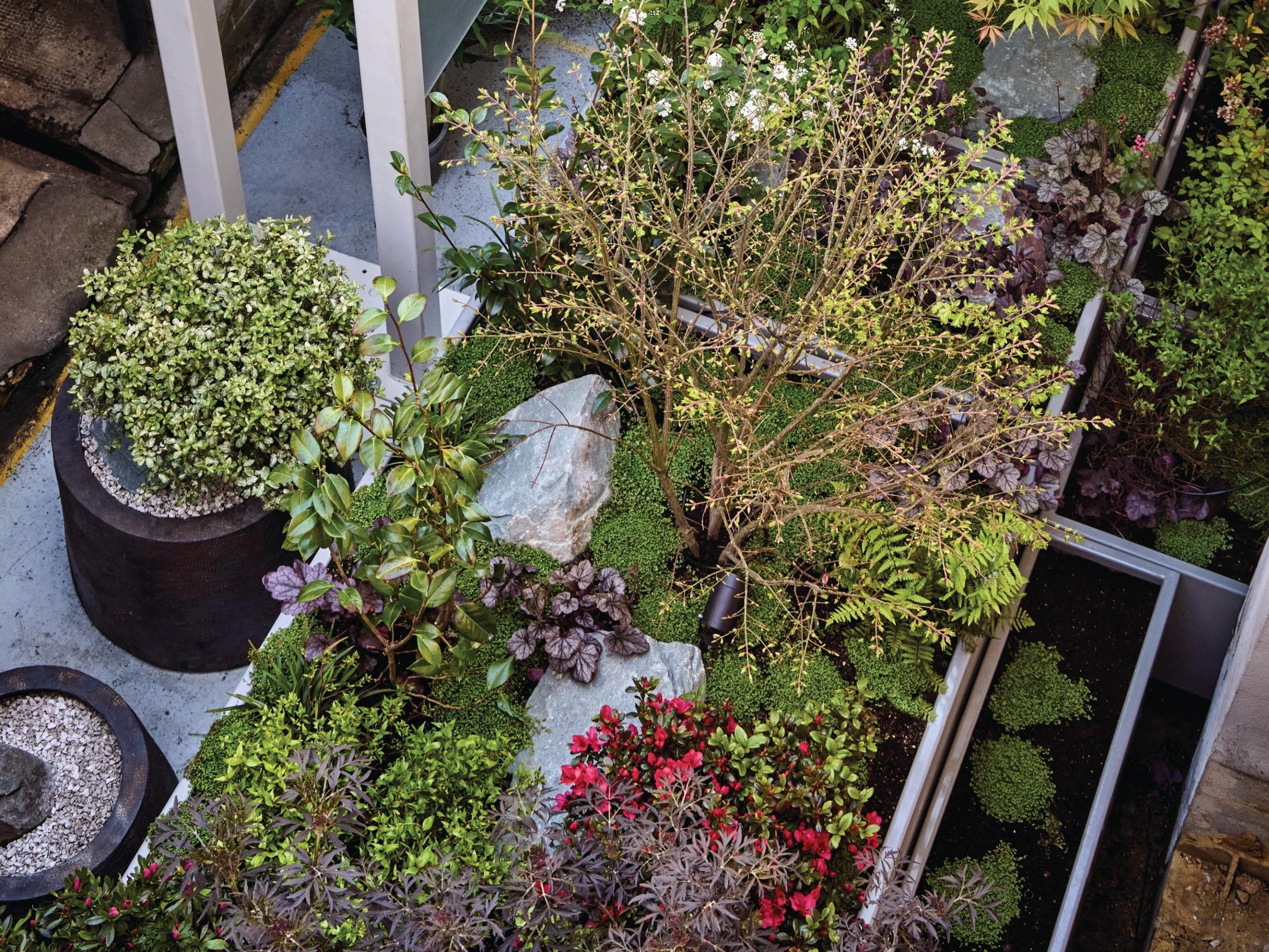 Aerial view of garden