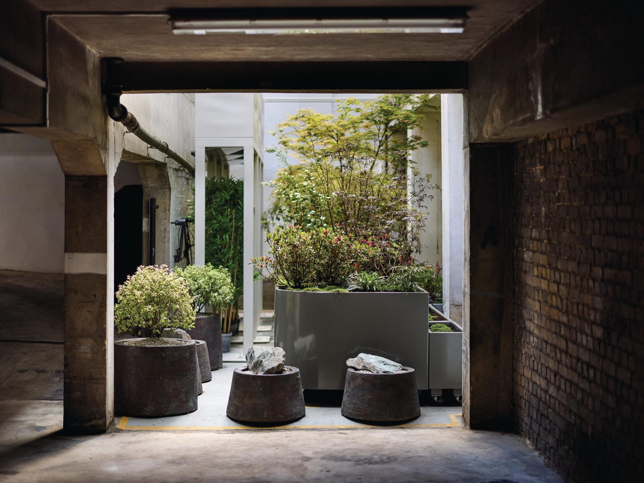 Plants in planters