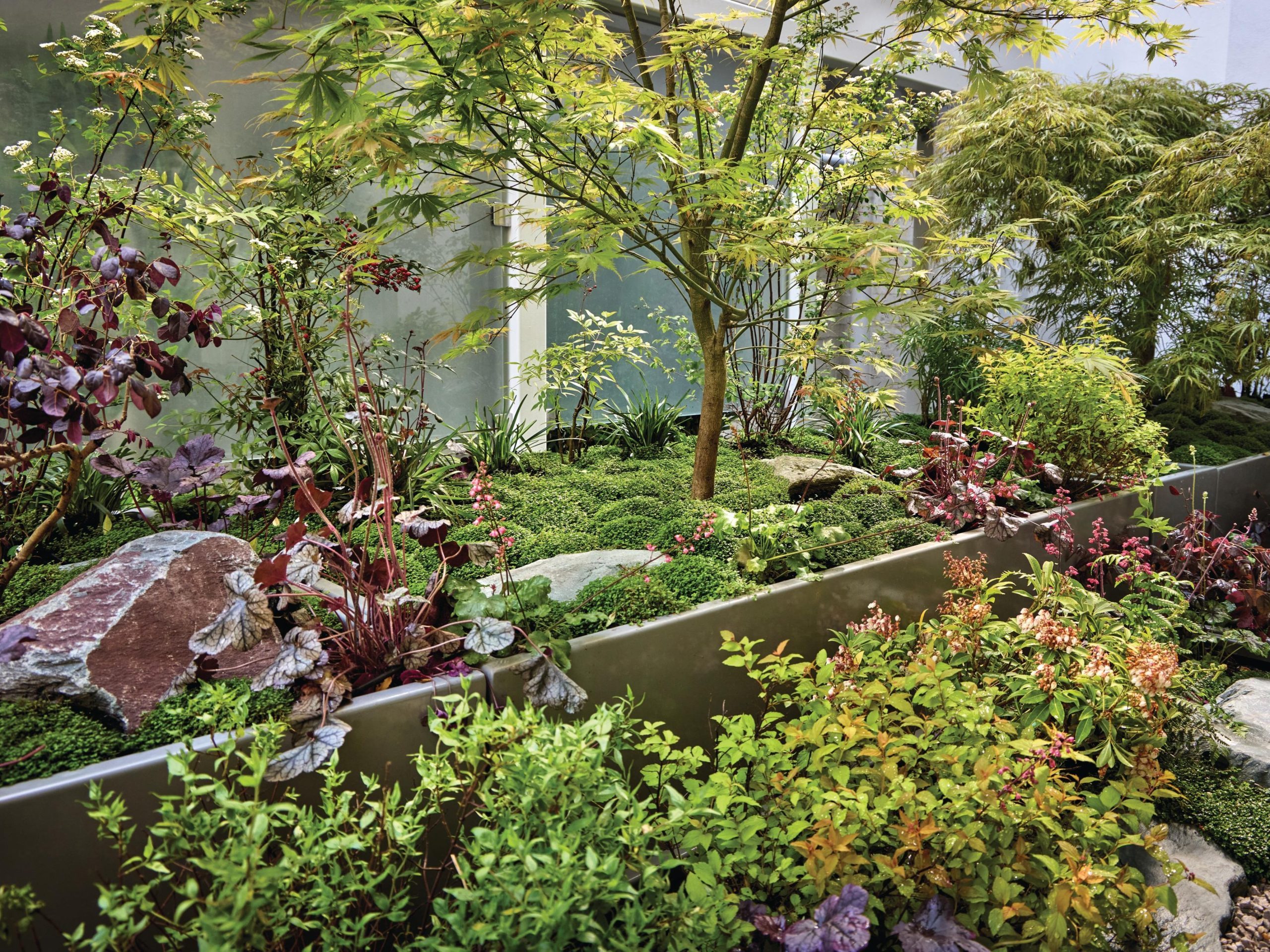 Japanese garden