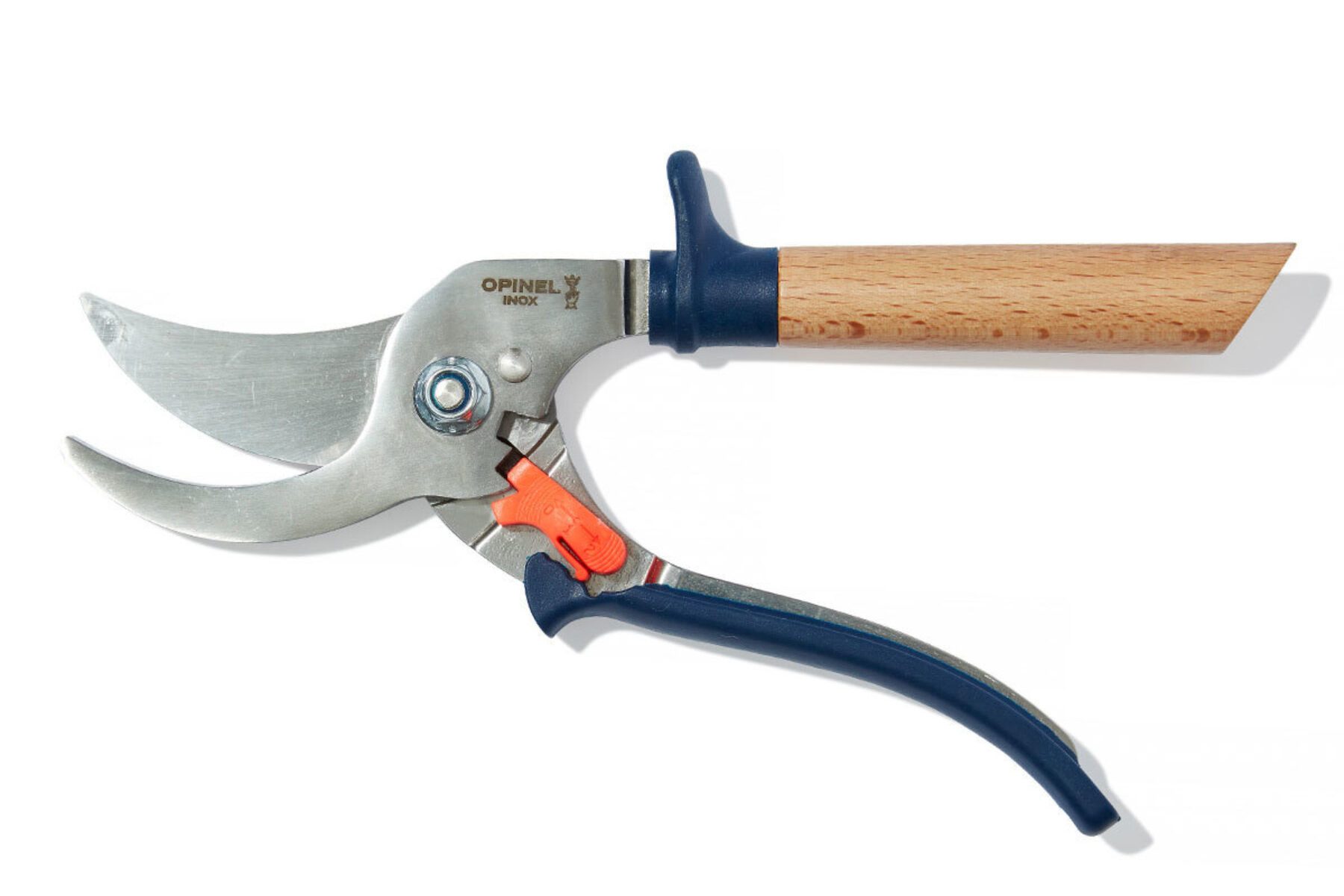 Blue gardening secateurs