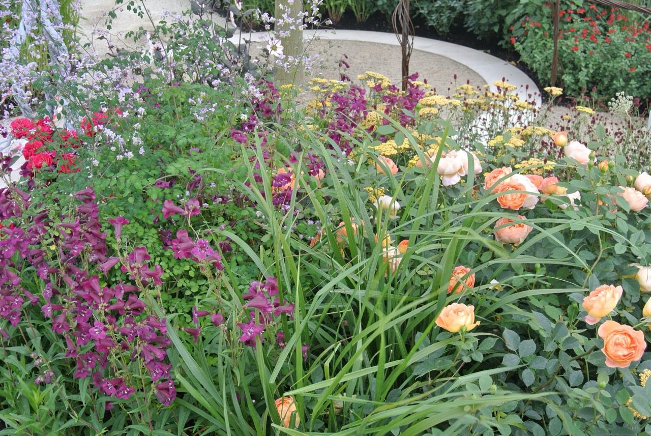 Colourful, layered planting in Blind Veterans UK garden