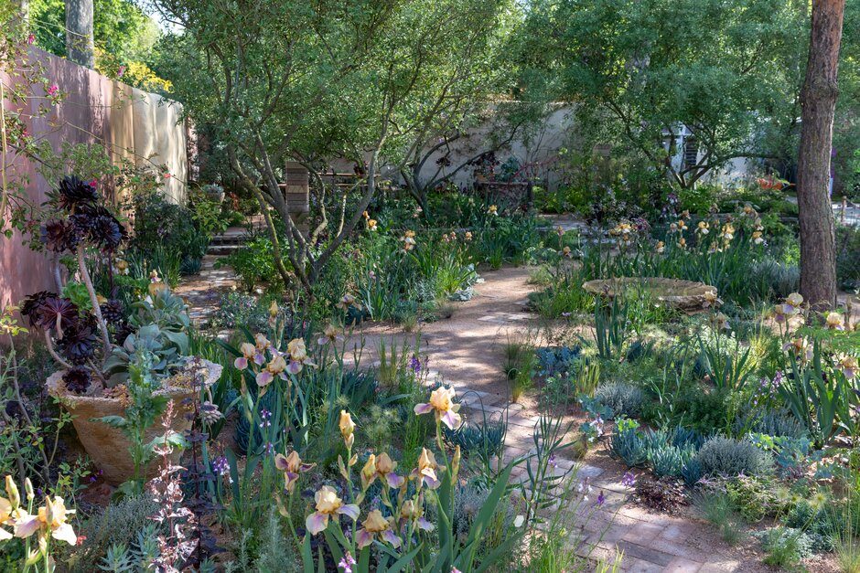 RHS Chelsea Flower Show 2023 Nurture Landscapes Garden, designed by Sarah Price